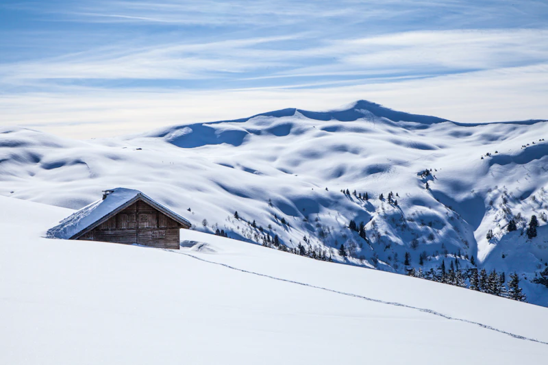 Farm-to-Table Cuisine in alpine setting