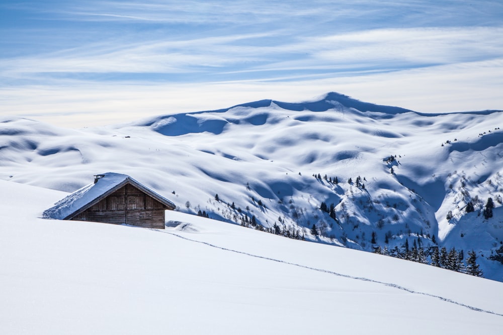 a cabin in the middle of a snowy mountain