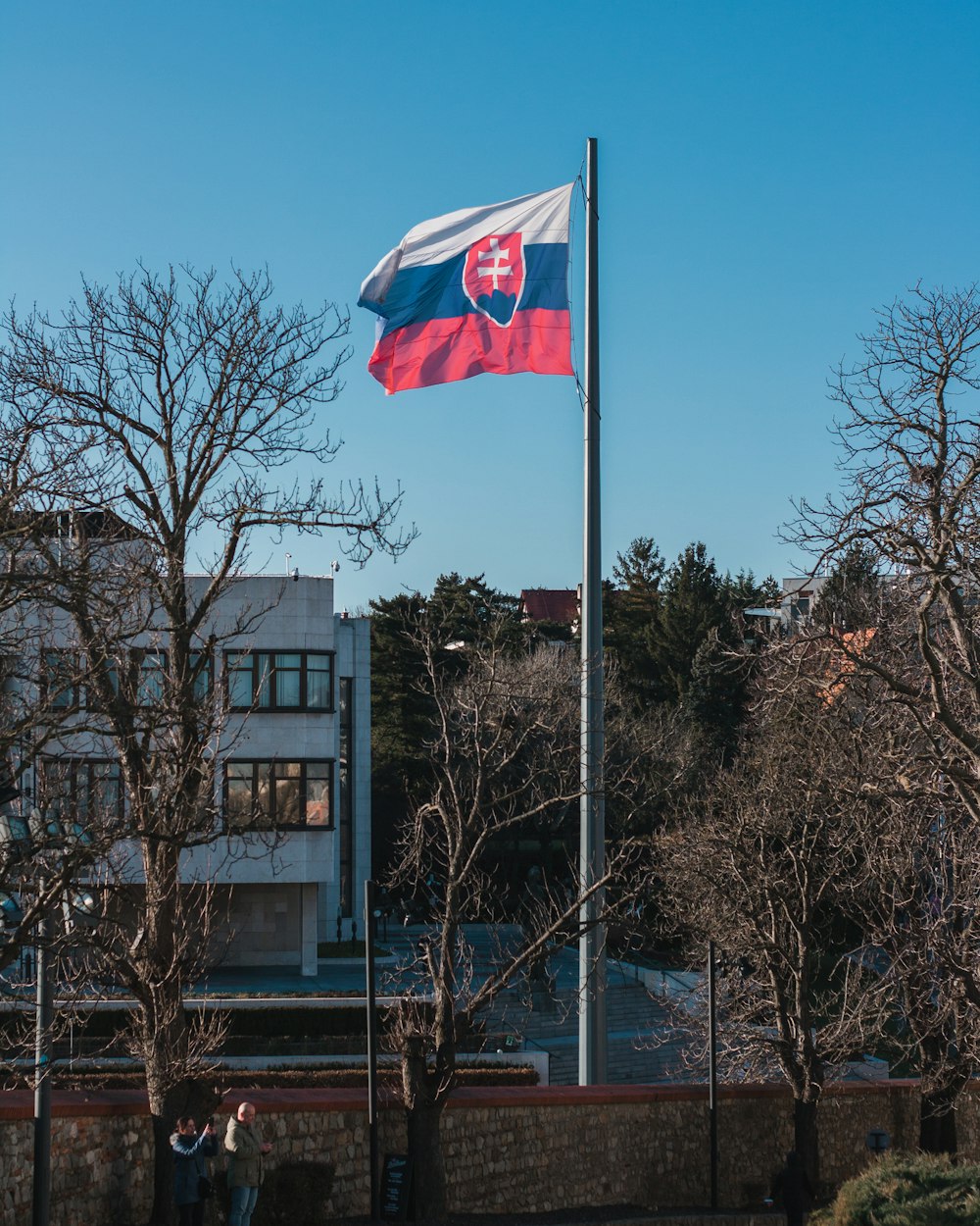 a flag flying in front of a building