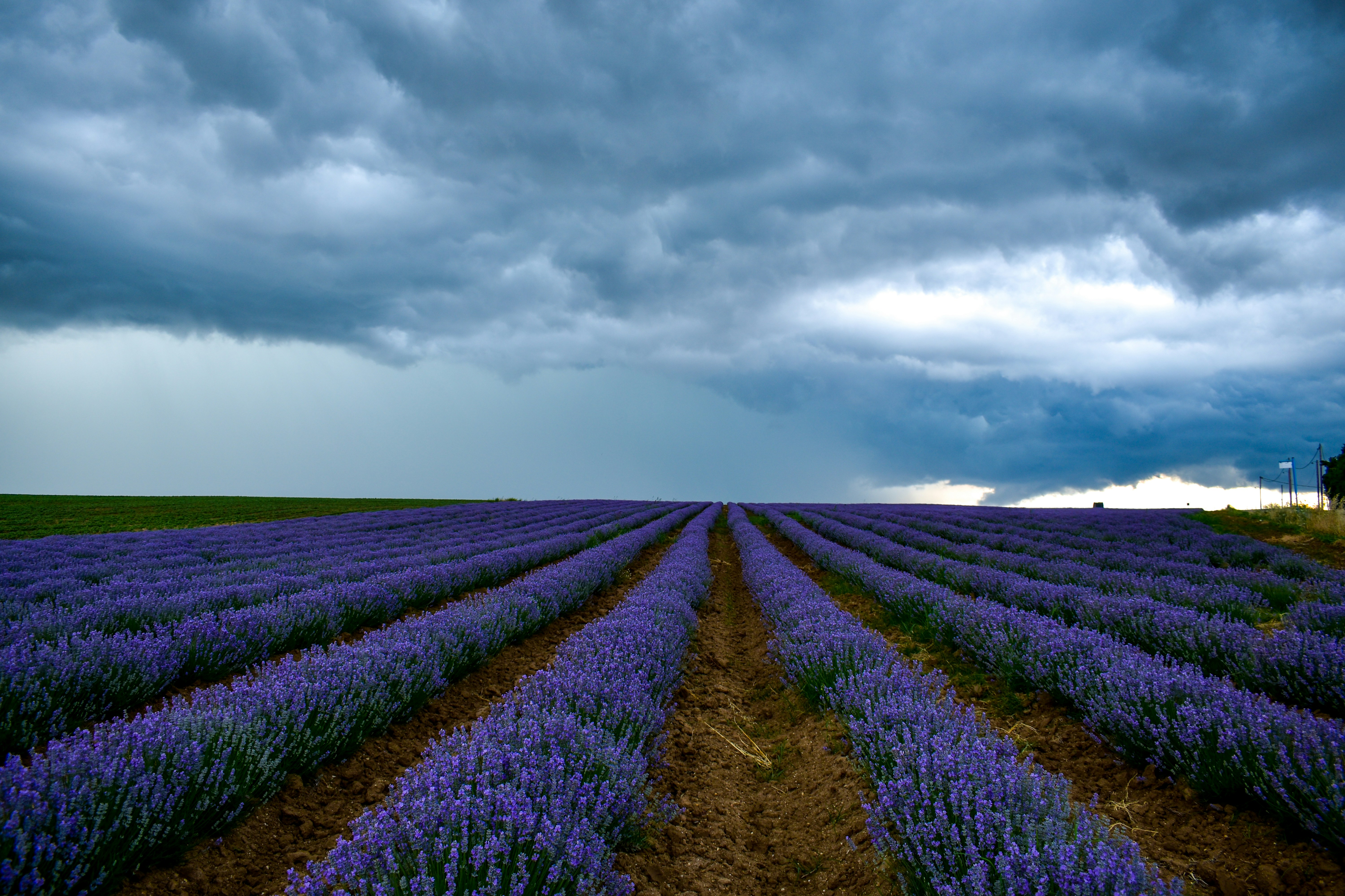 Photo by stelios_tsaousidis