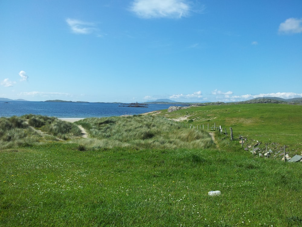 a grassy field next to a body of water