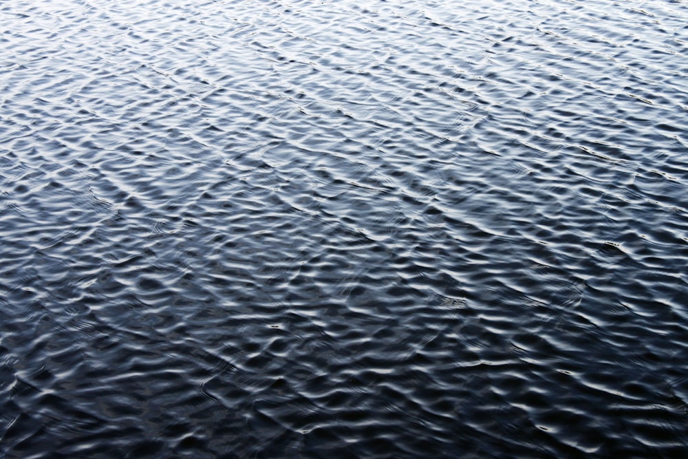 a body of water with ripples in it