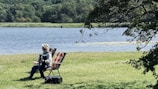 A concertina being played outdoors with green fields in the background.