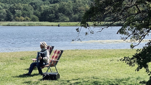 A person is seated on a grassy riverbank, playing an accordion. They are sitting in a foldable chair with another empty chair beside them. In the background, a calm river flows with dense green forest on the other side. Trees partially frame the scene from the top right corner.