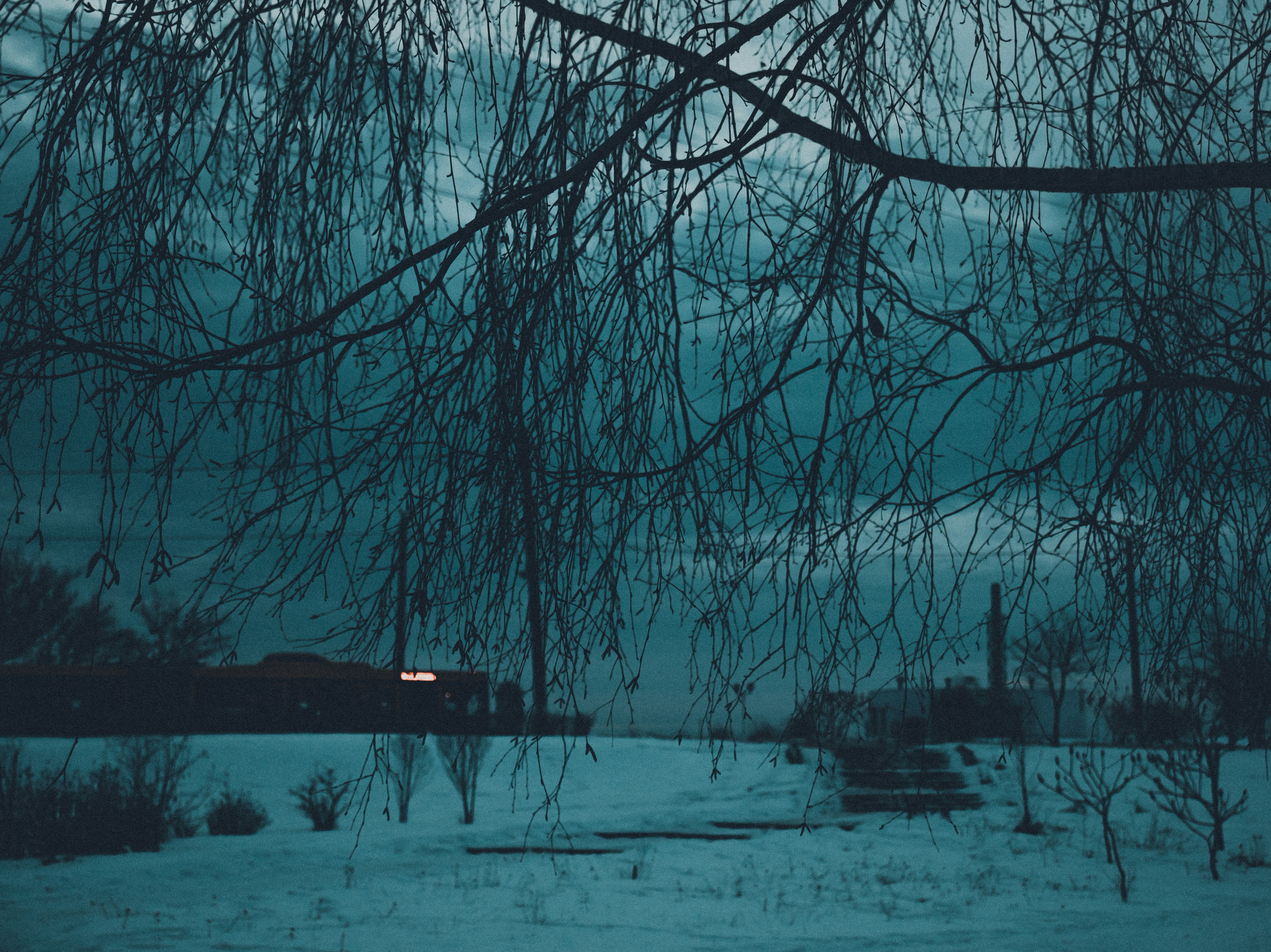 Photo by obscurespace