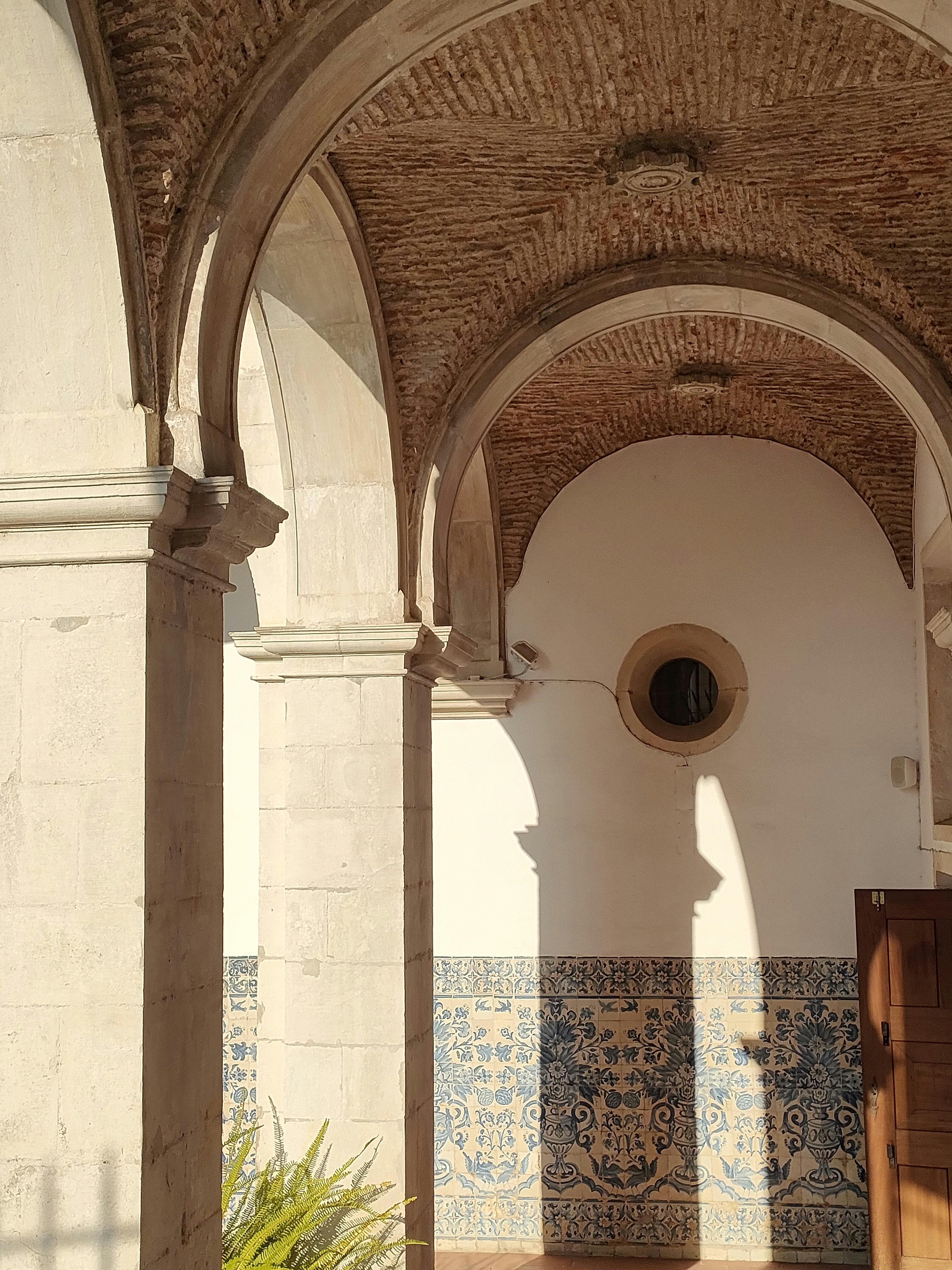 Photo by sophie_wild_wisdom