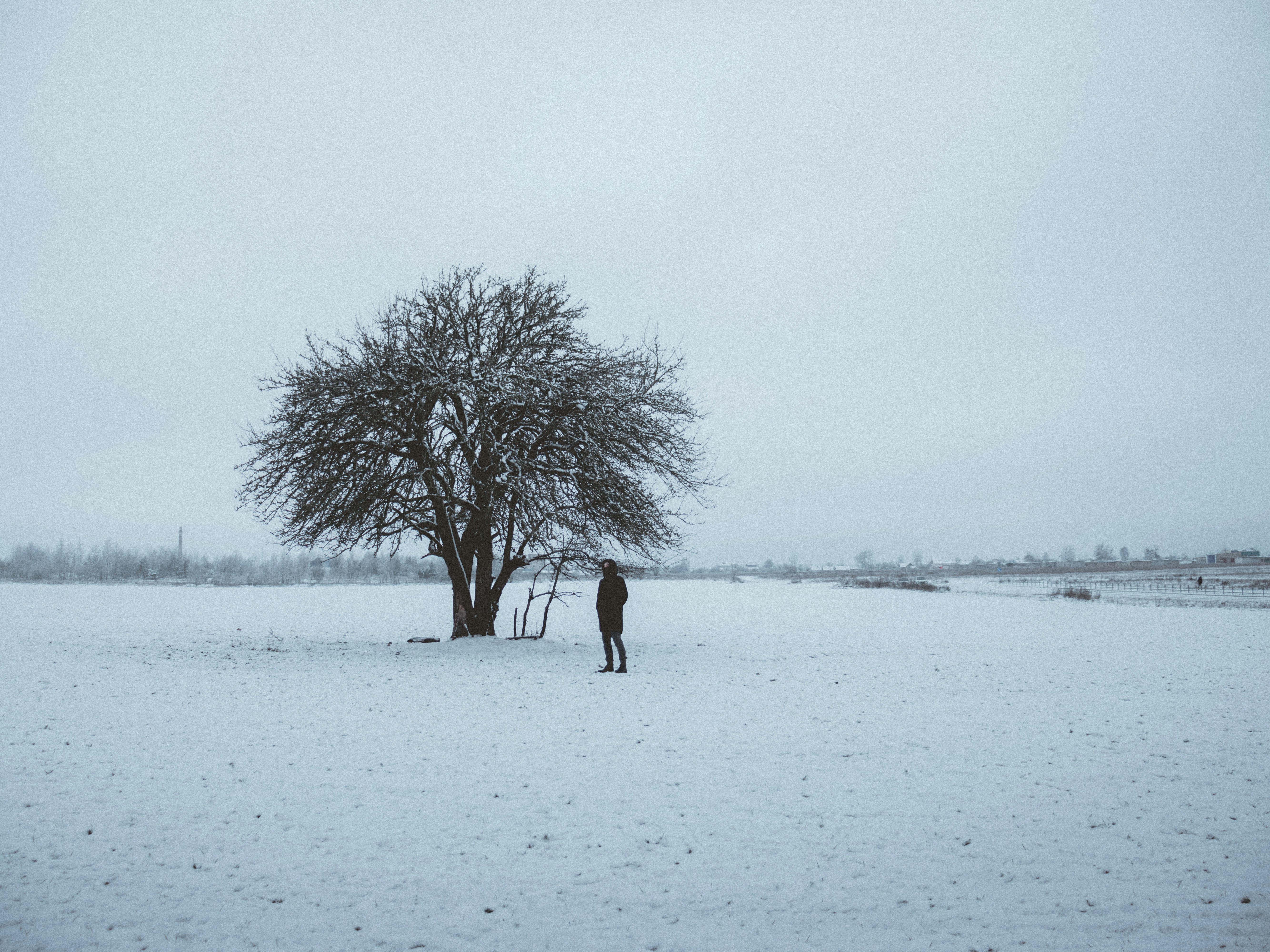 Photo by obscurespace