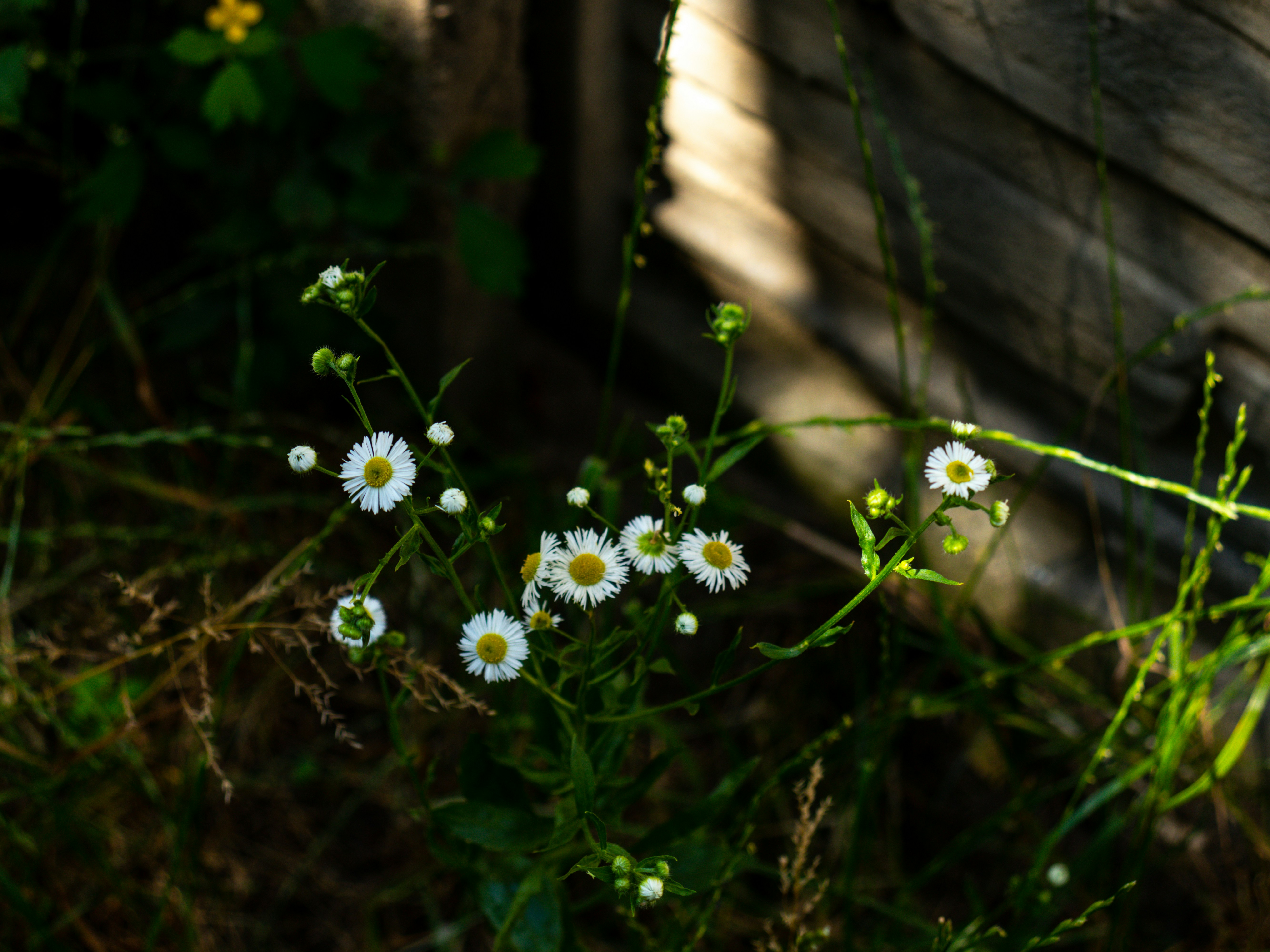 Photo by obscurespace