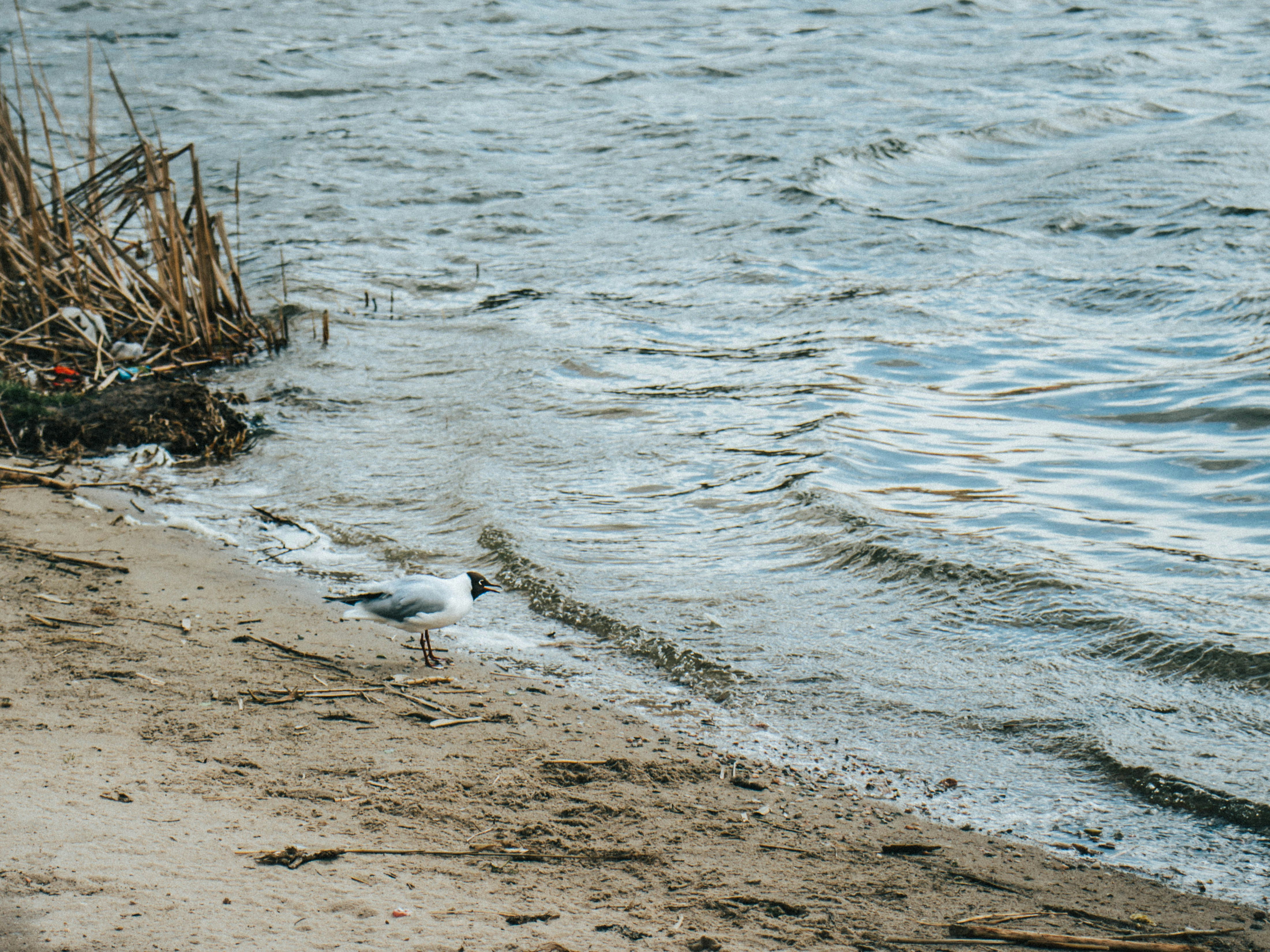 Photo by obscurespace