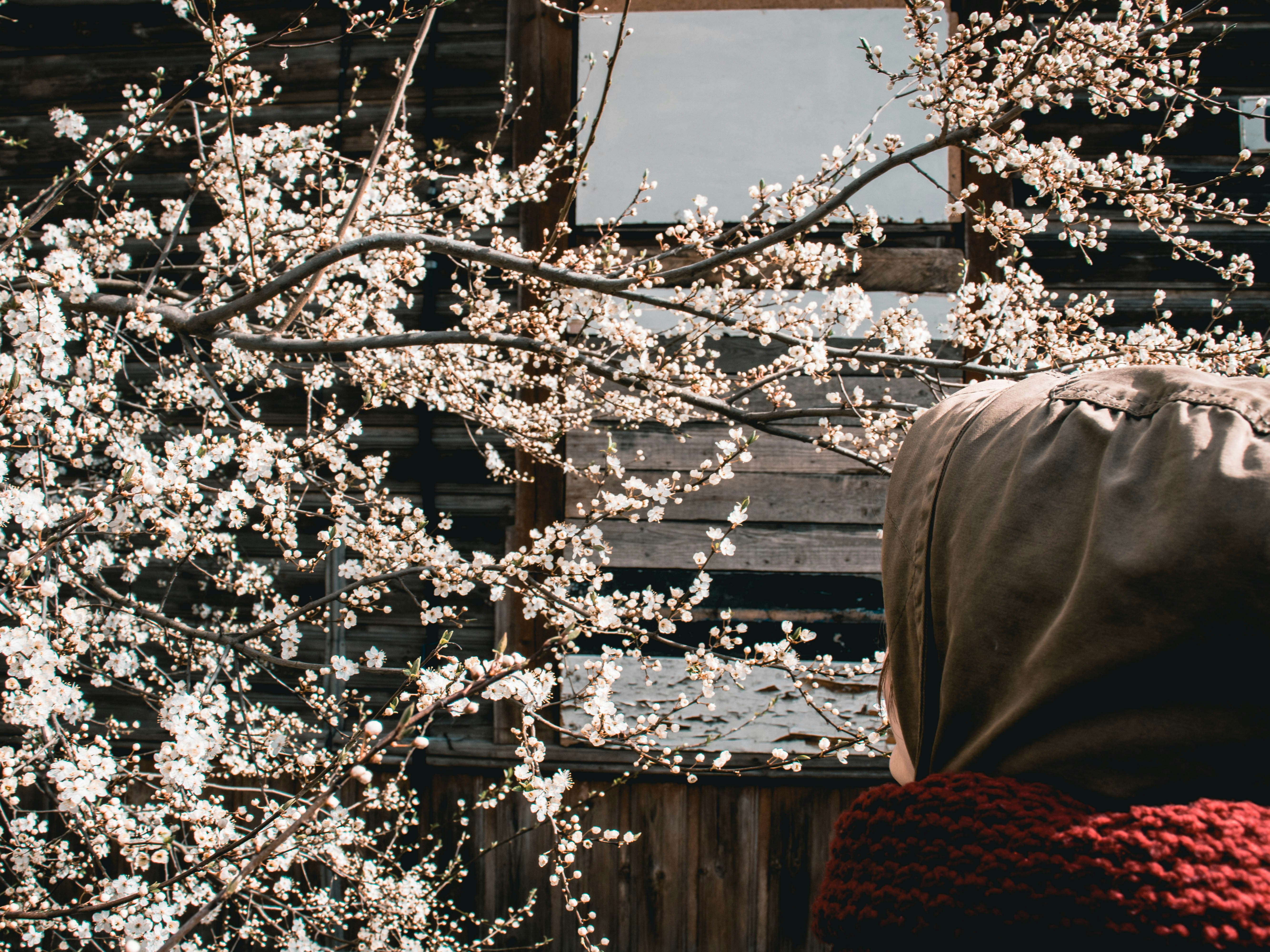 Photo by obscurespace