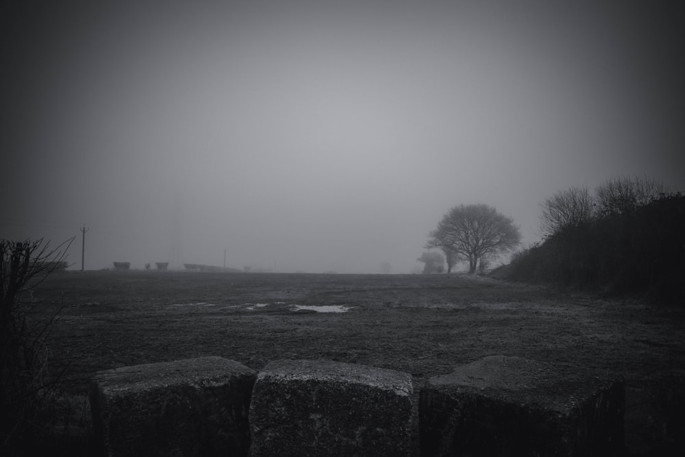 a black and white photo of a foggy field