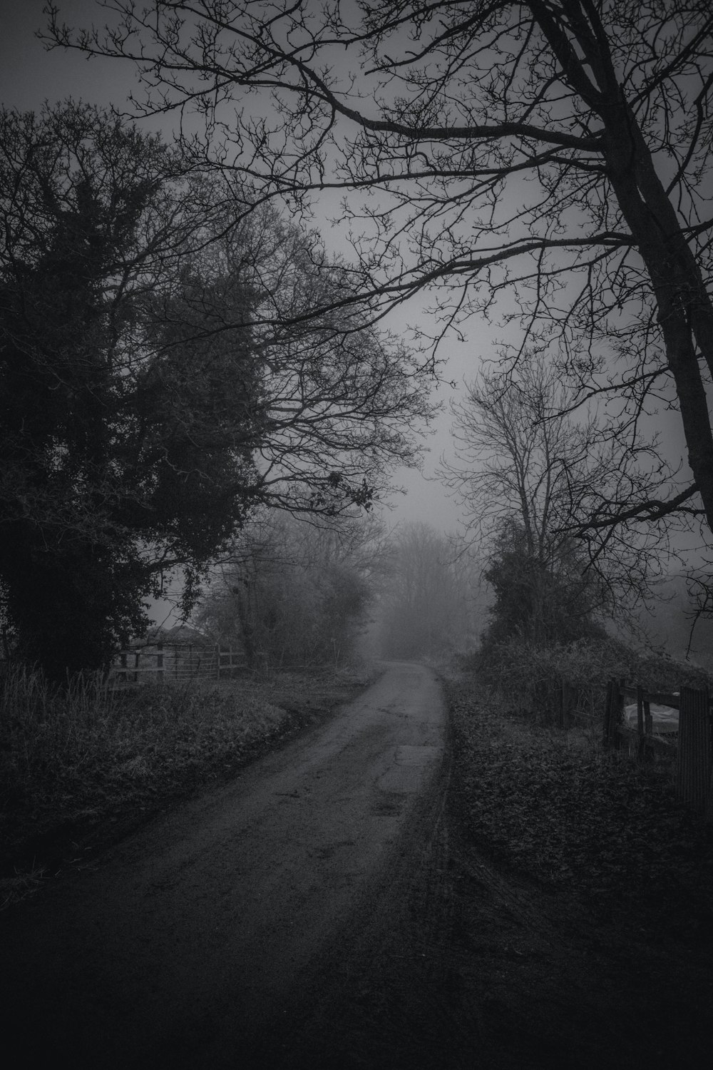 a dirt road in the middle of a forest