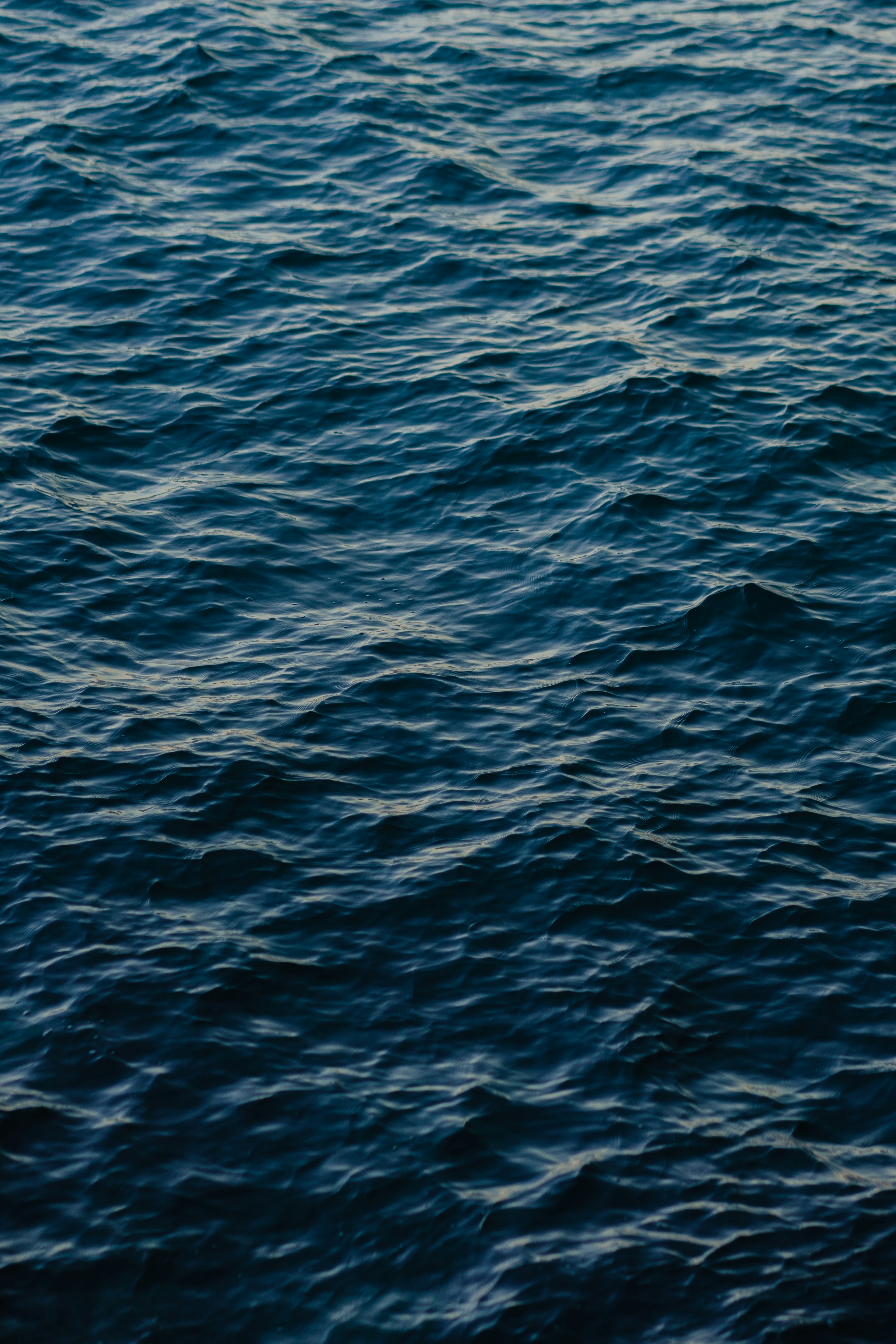 Photo by eugenechystiakov