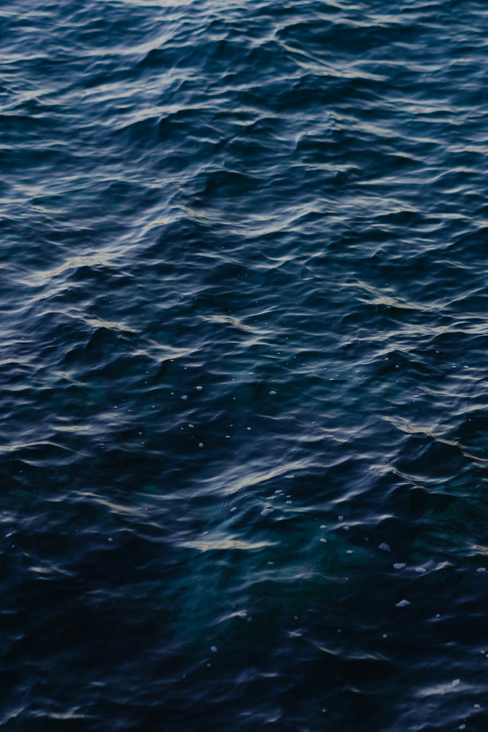 a large body of water with small waves