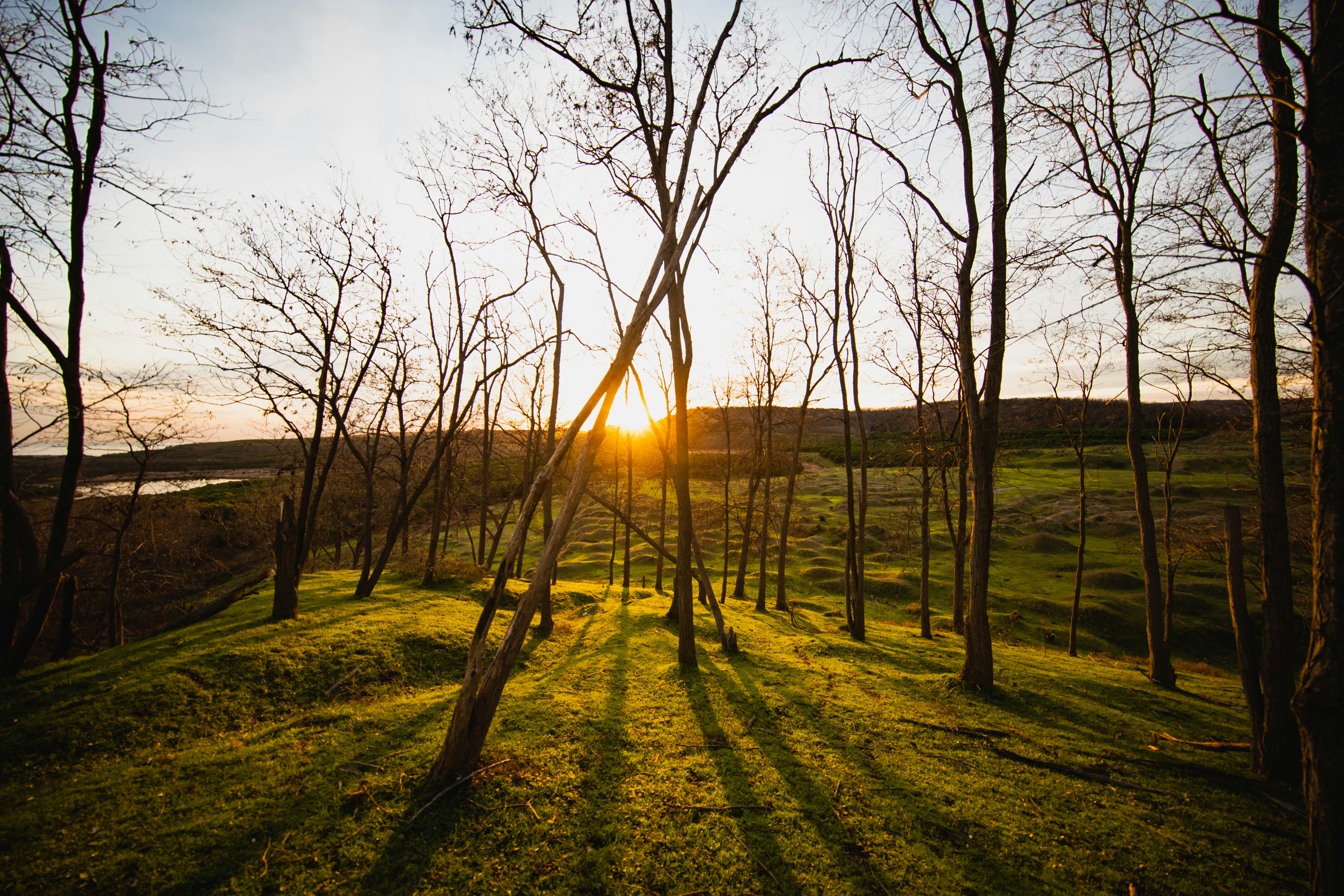Photo by bilalfurkankosar