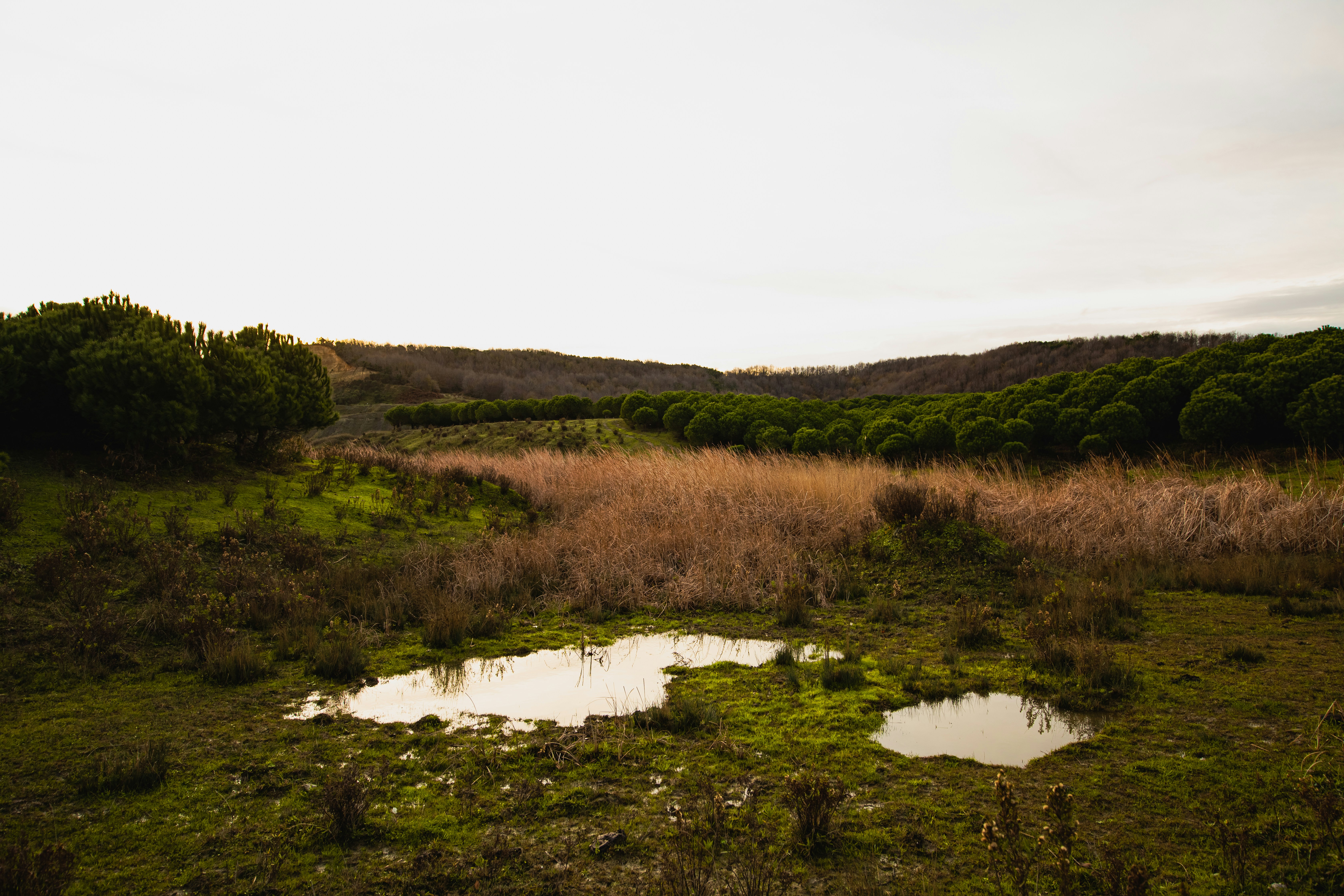 Photo by bilalfurkankosar