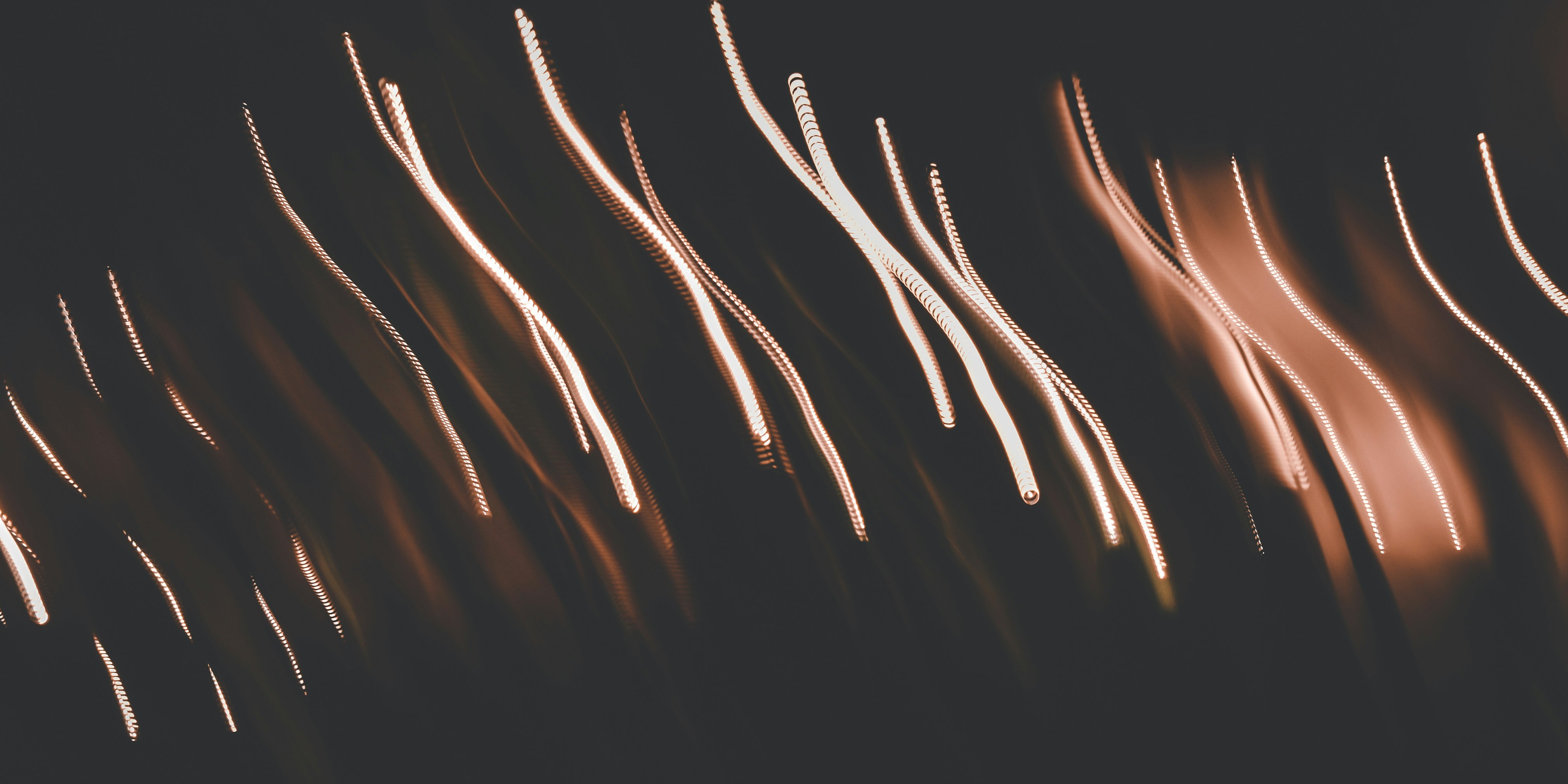 Photo by elliottmason