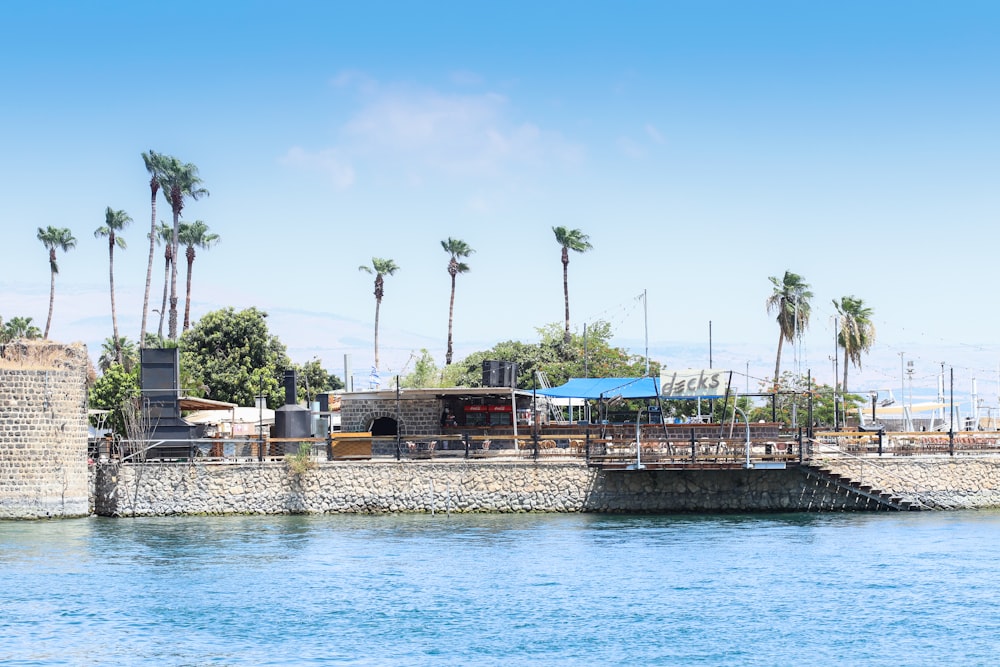 a large body of water with palm trees in the background