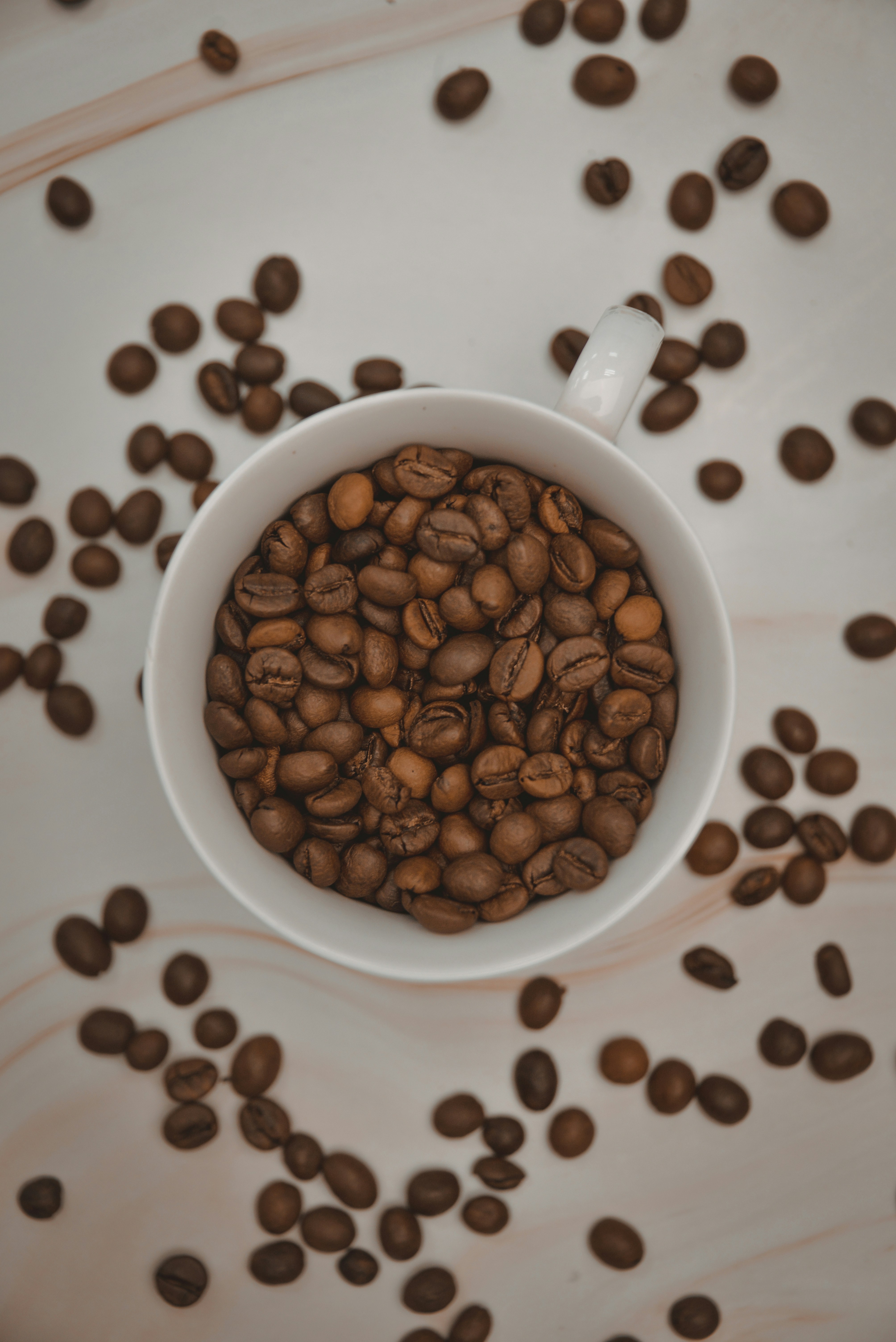 Photo by maximpotyomkin