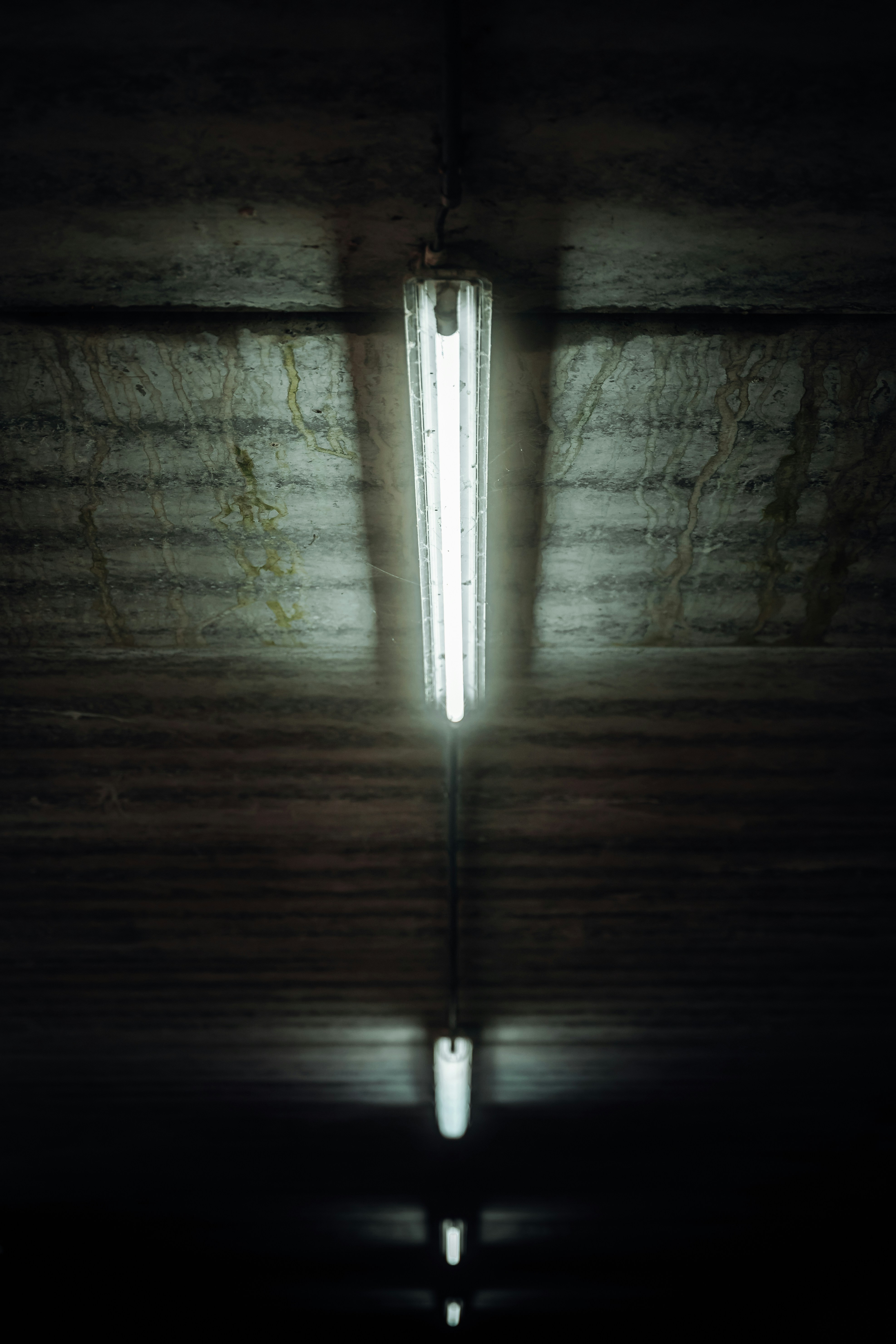 Photo by jonasjaekenmedia