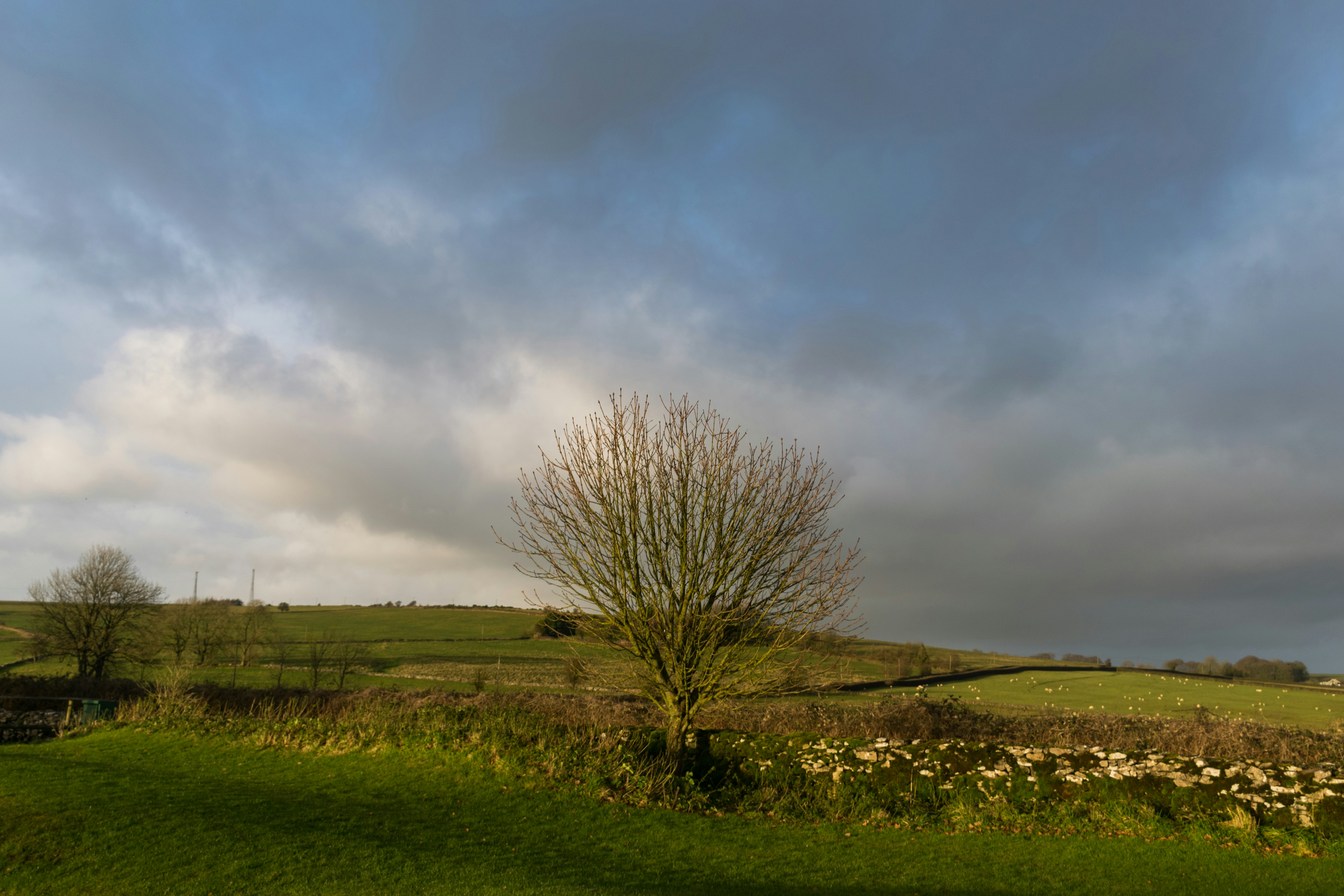 Photo by veronicaa_white