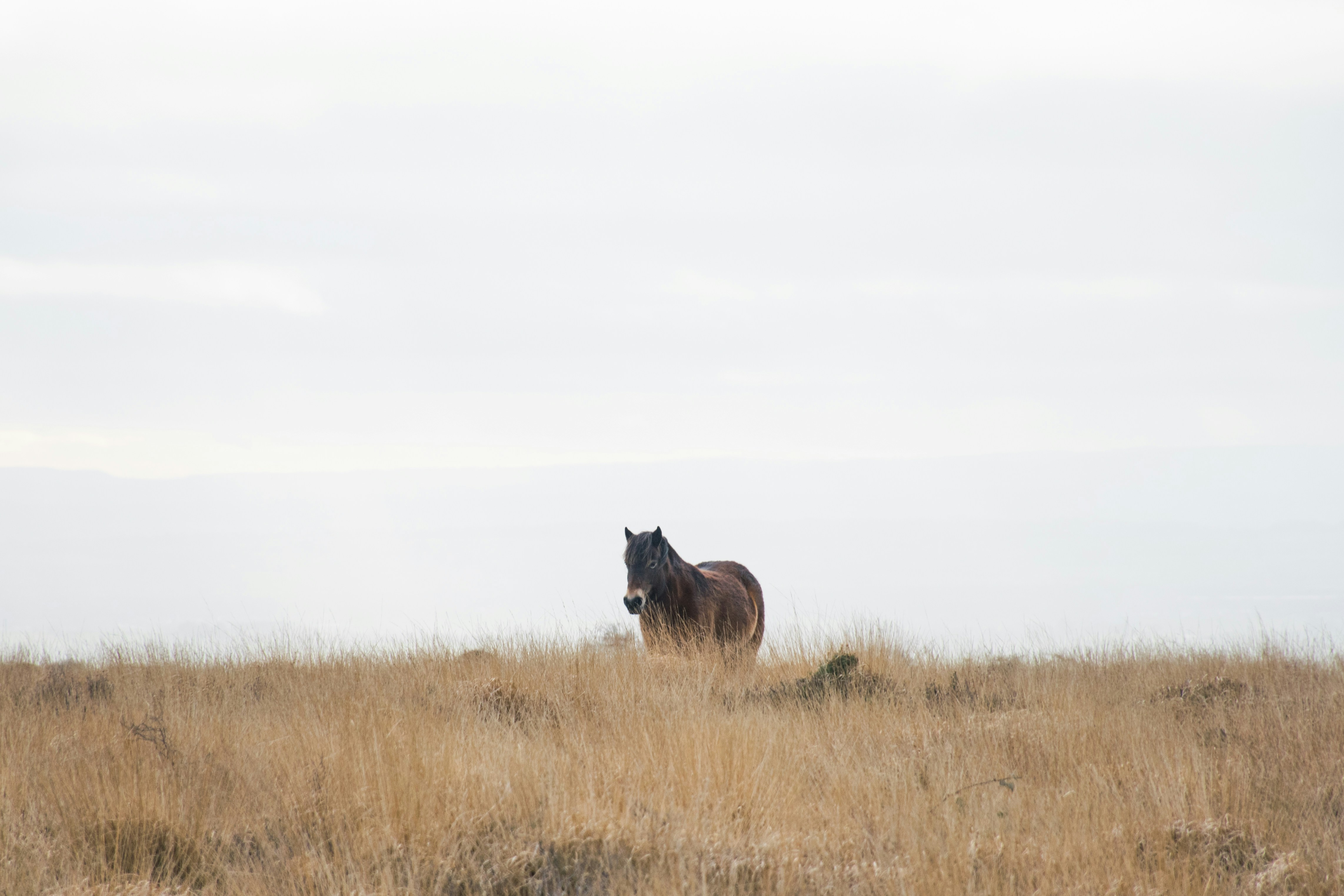 Photo by veronicaa_white