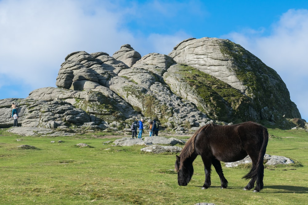 Ein Pferd grast auf einem Feld in der Nähe einiger Felsen