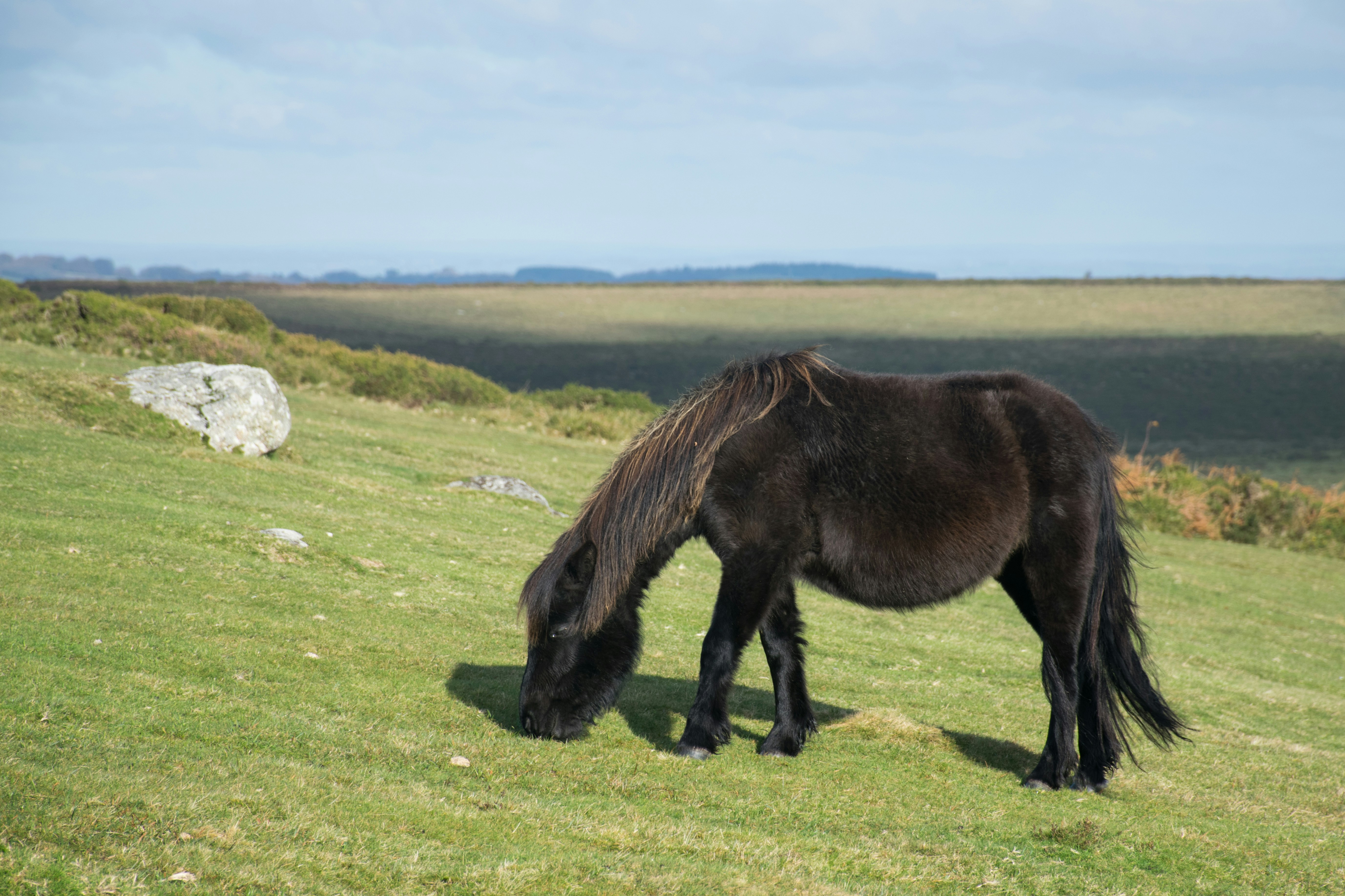 Photo by veronicaa_white