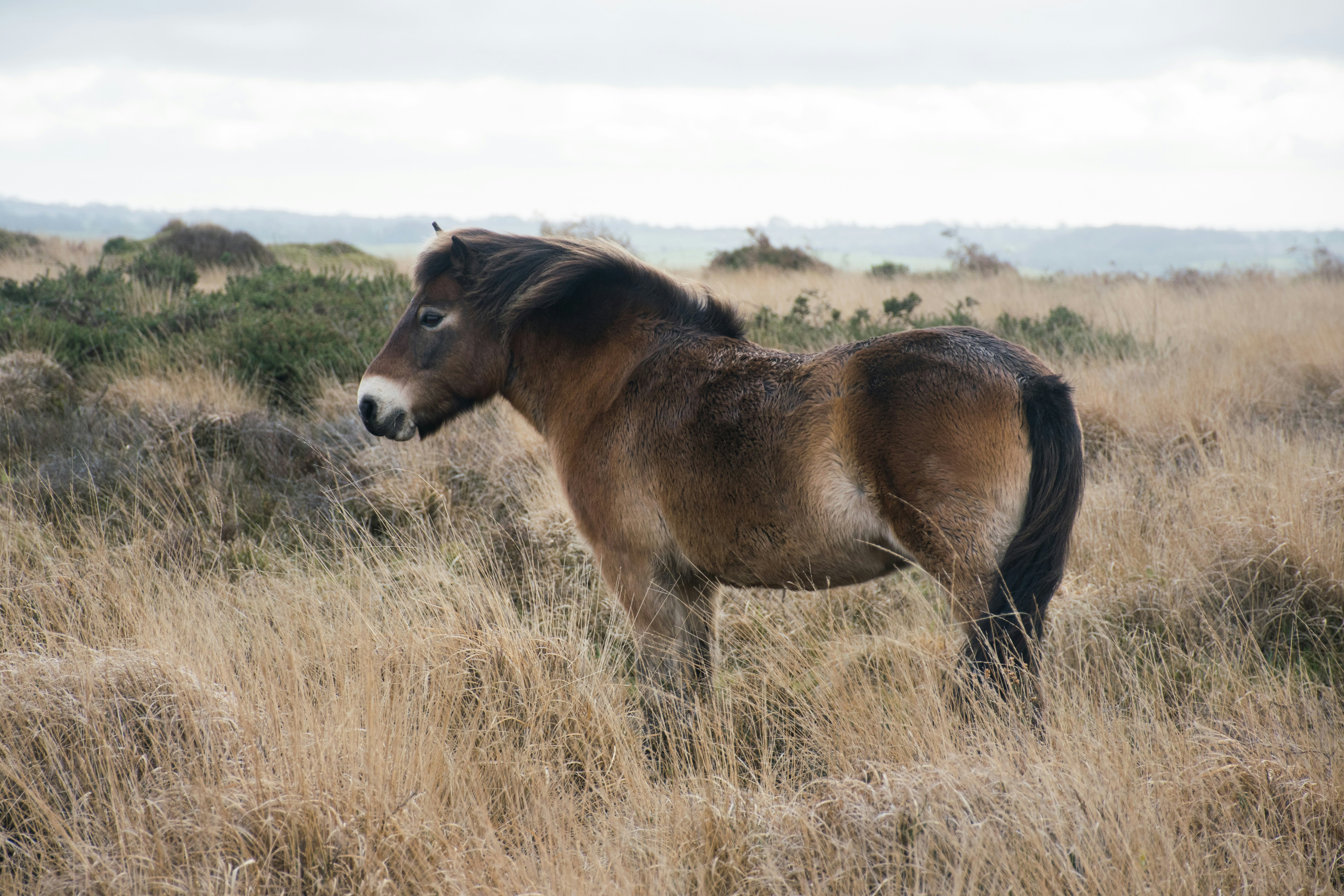 Photo by veronicaa_white