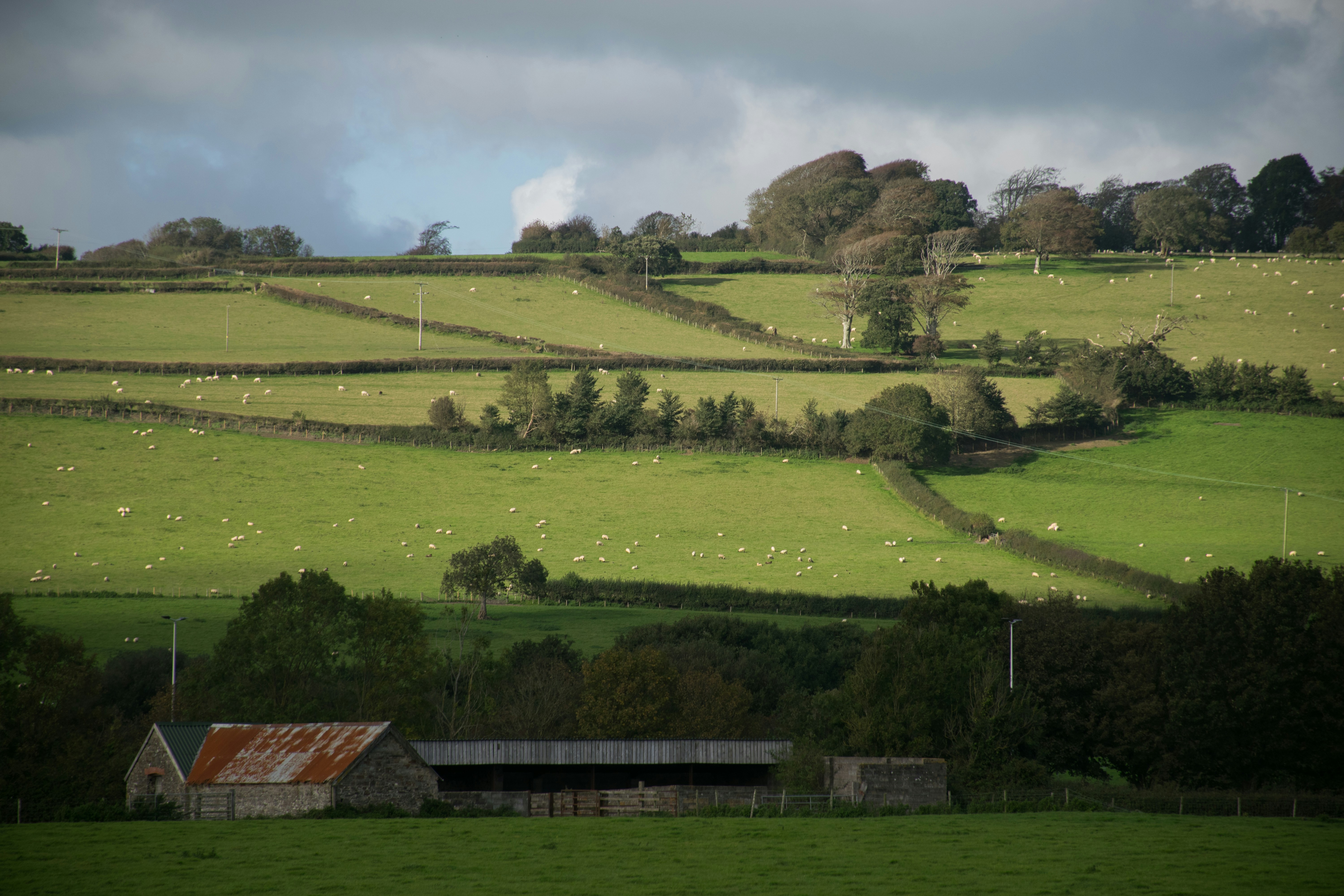 Photo by veronicaa_white