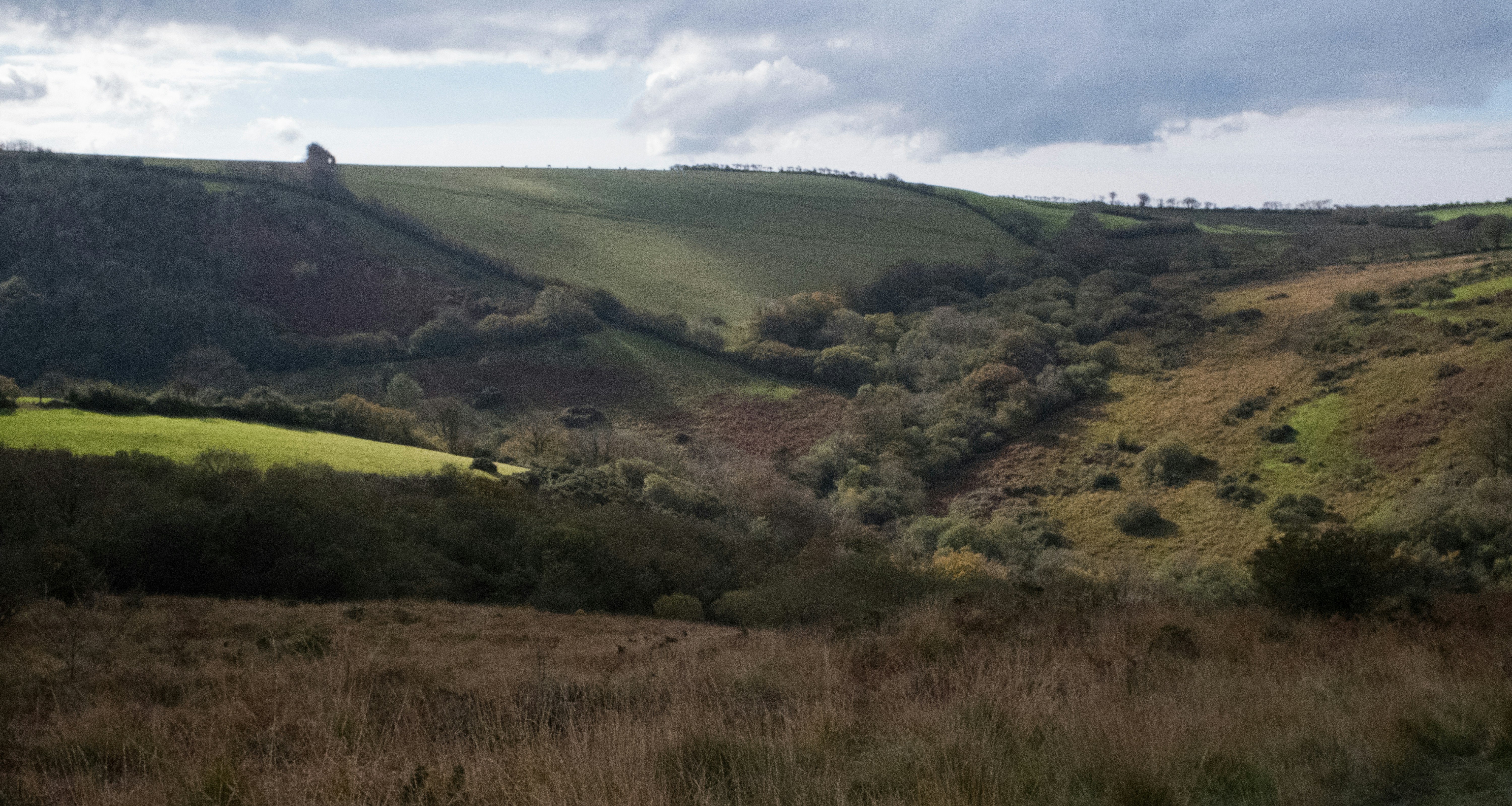 Photo by veronicaa_white