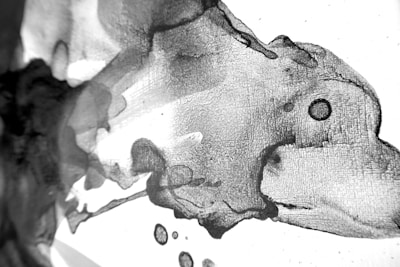 Black and white abstract ink blot resembling a Rorschach test with subtle red accents