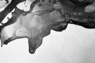 Abstract black ink splotches spread across a white surface, with varying shades of gray creating a textured and fluid appearance. The ink forms irregular and organic shapes, resembling a watercolor painting.