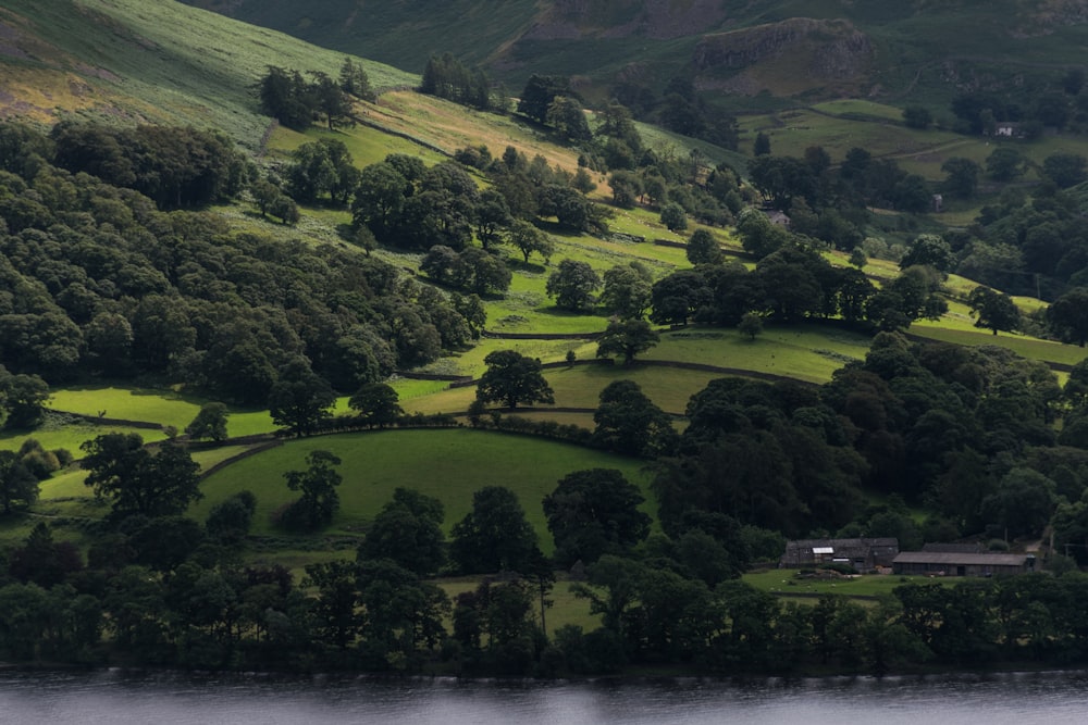 a scenic view of a lush green hillside