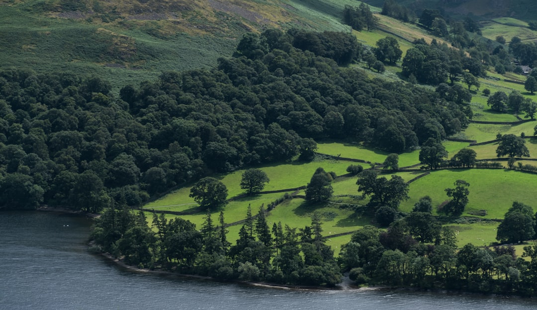 a small island in the middle of a lake, Lush green fields on rolling hills near Ullswater in the Lake District.