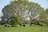 A serene scene of various farm animals lounging together in a green field.