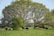 A serene scene of various farm animals lounging together in a green field.