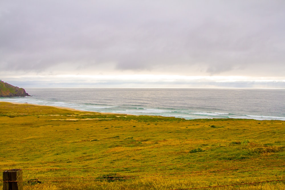 a grassy field next to a body of water