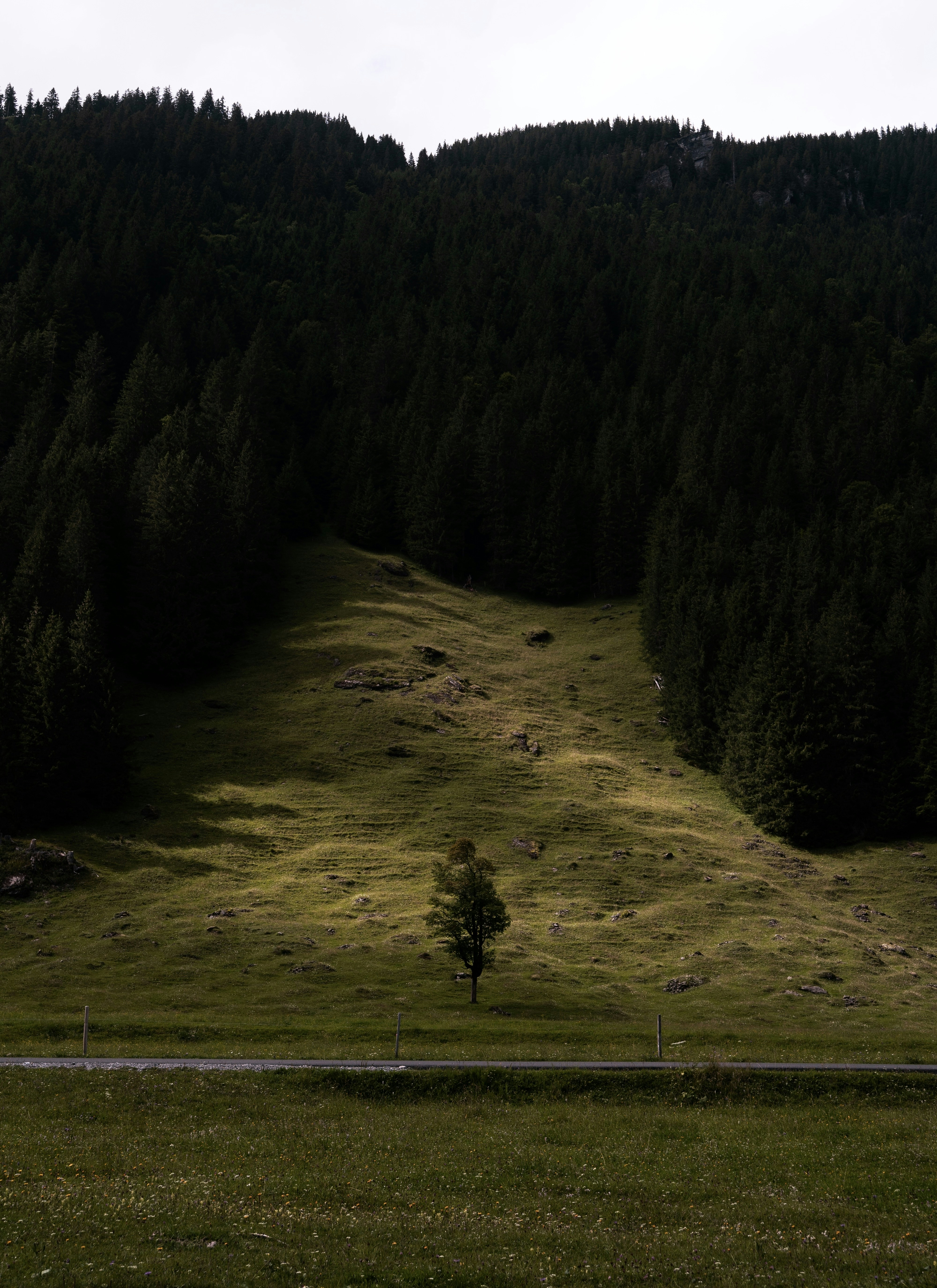 Photo by idbronskiy