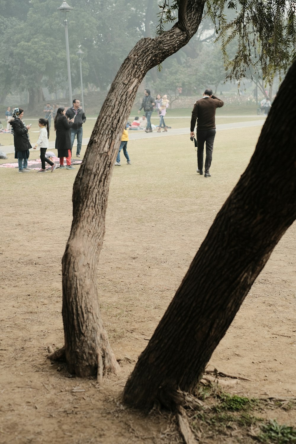 a man standing next to a tree in a park