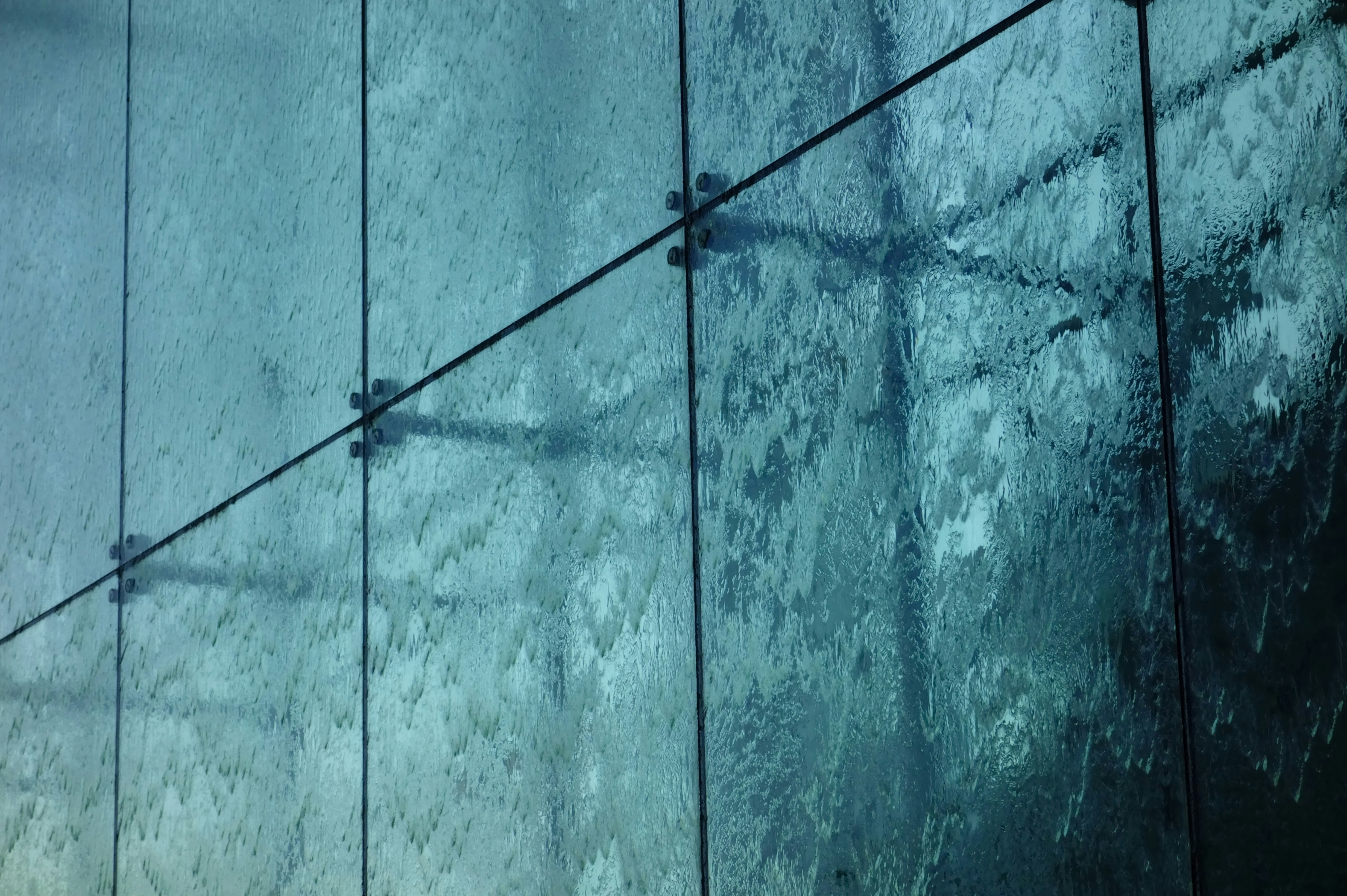 Photo by diamondforce