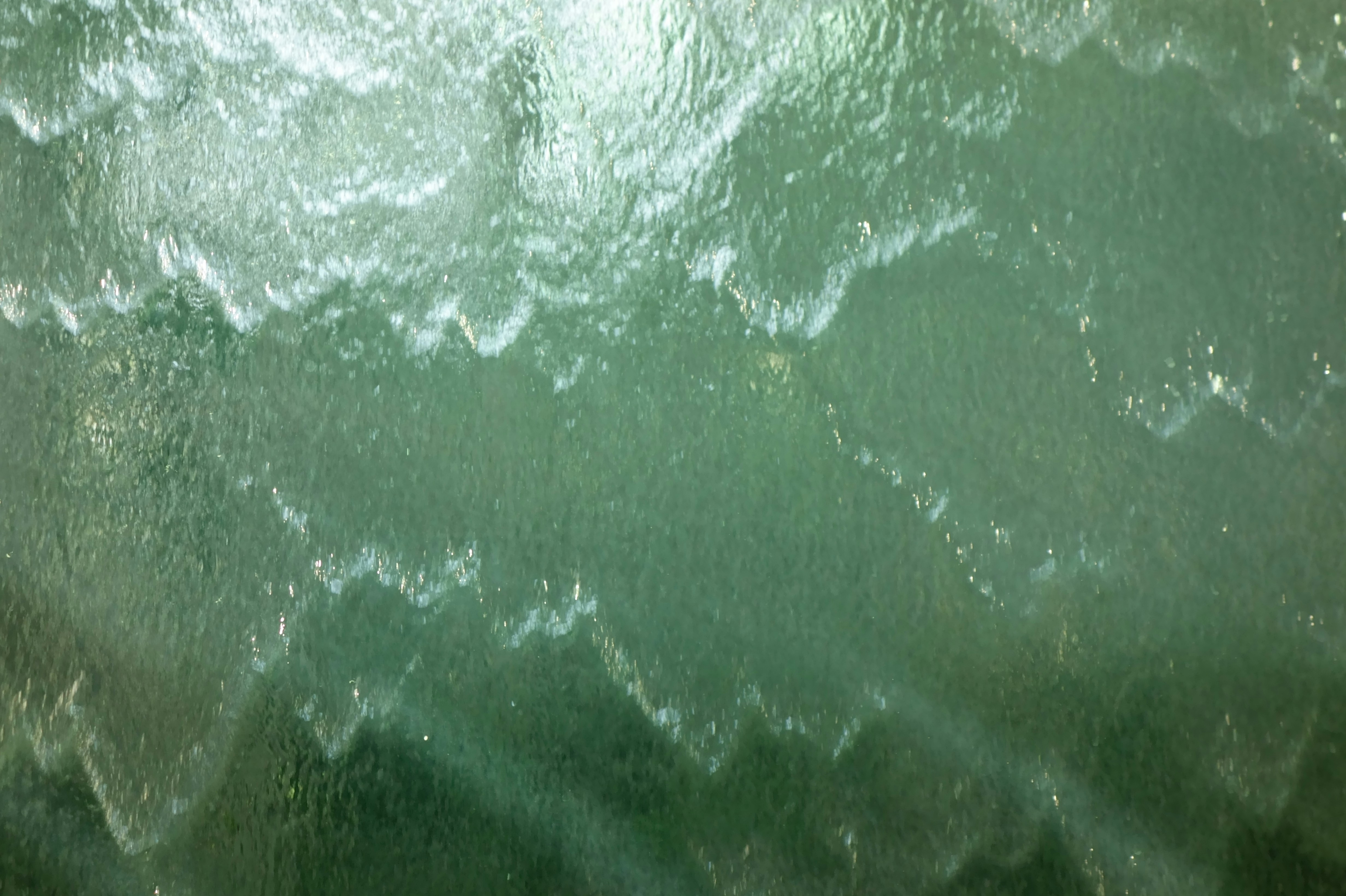 Photo by diamondforce