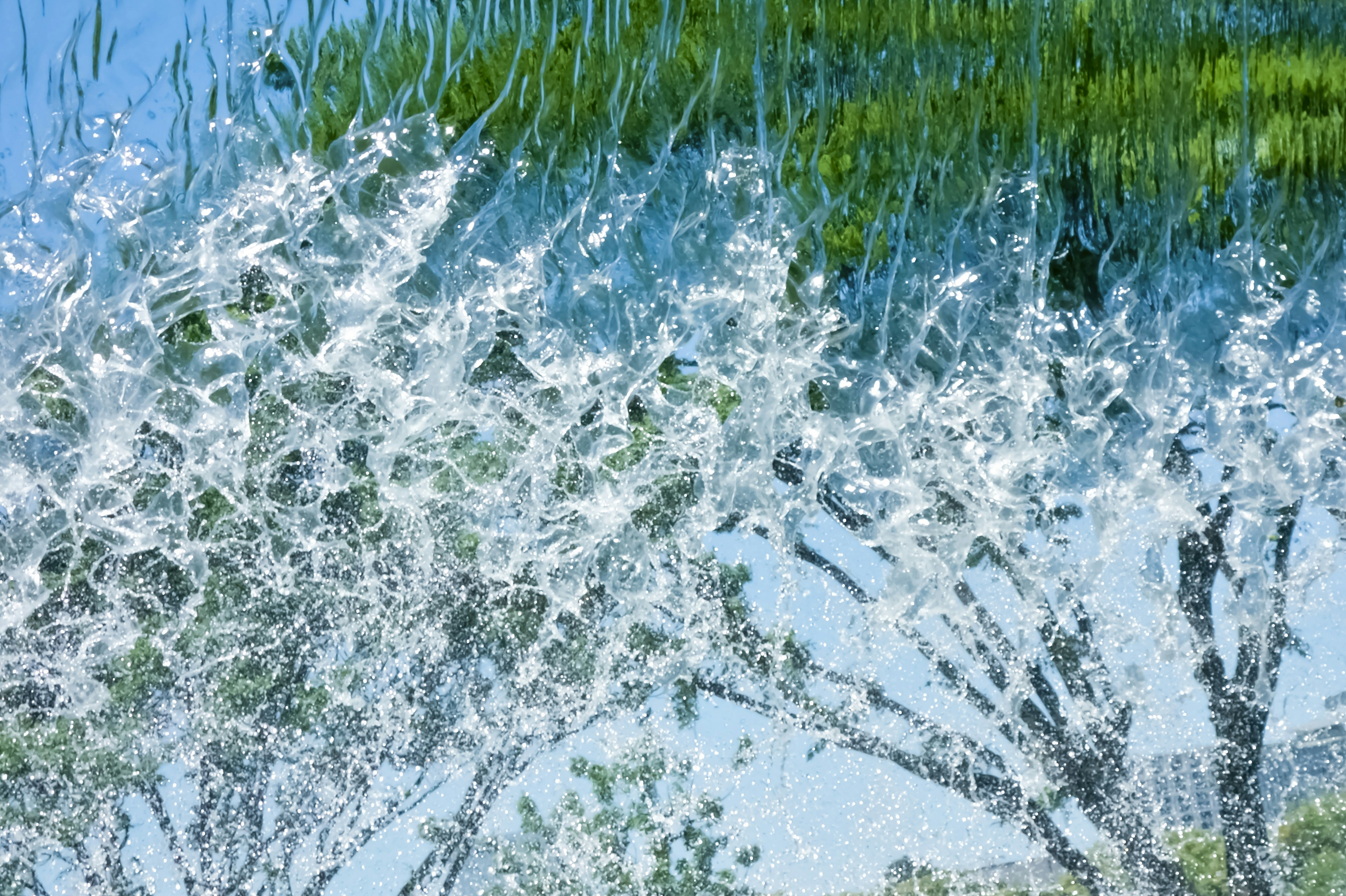 Photo by diamondforce