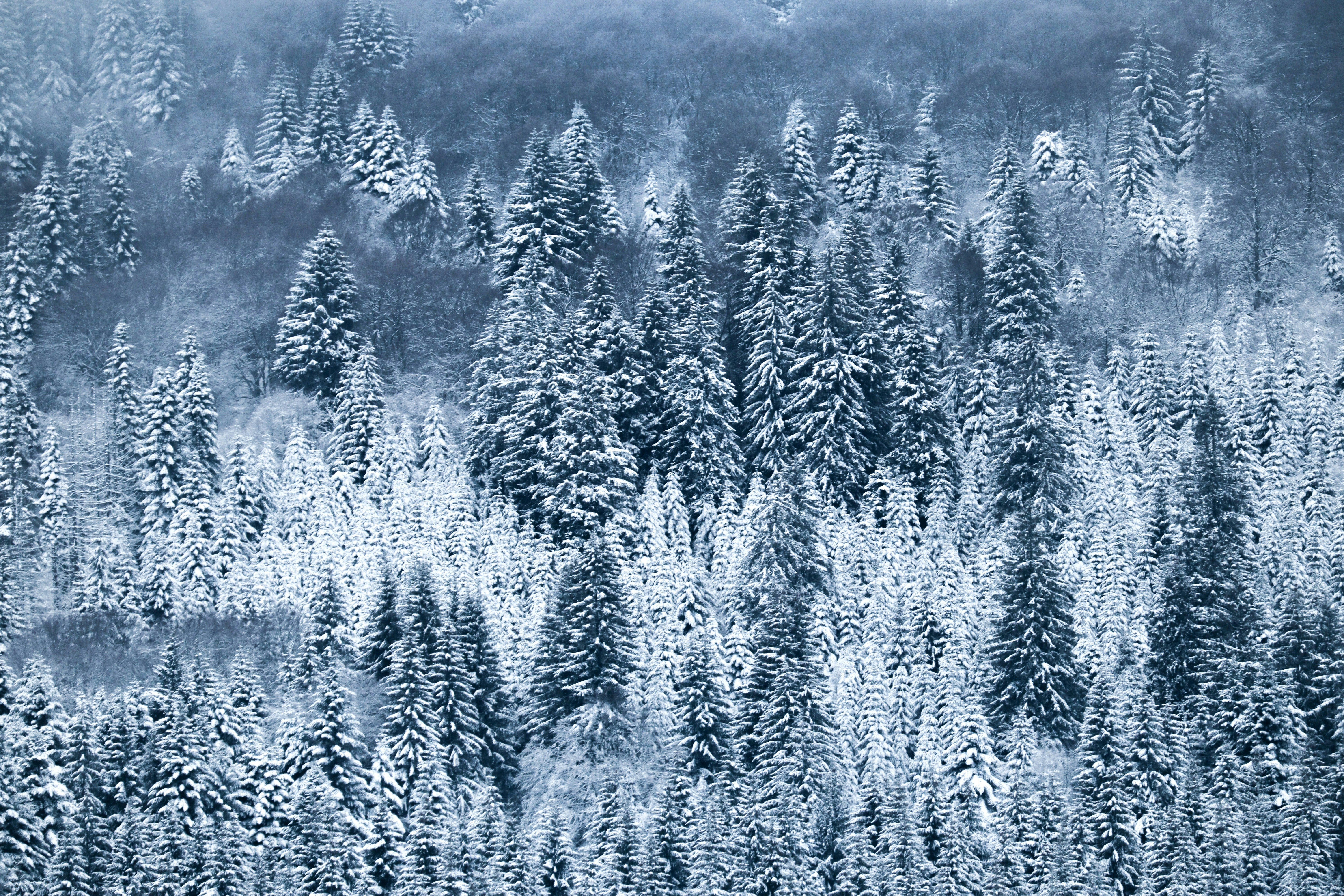 Photo by clementduguerre