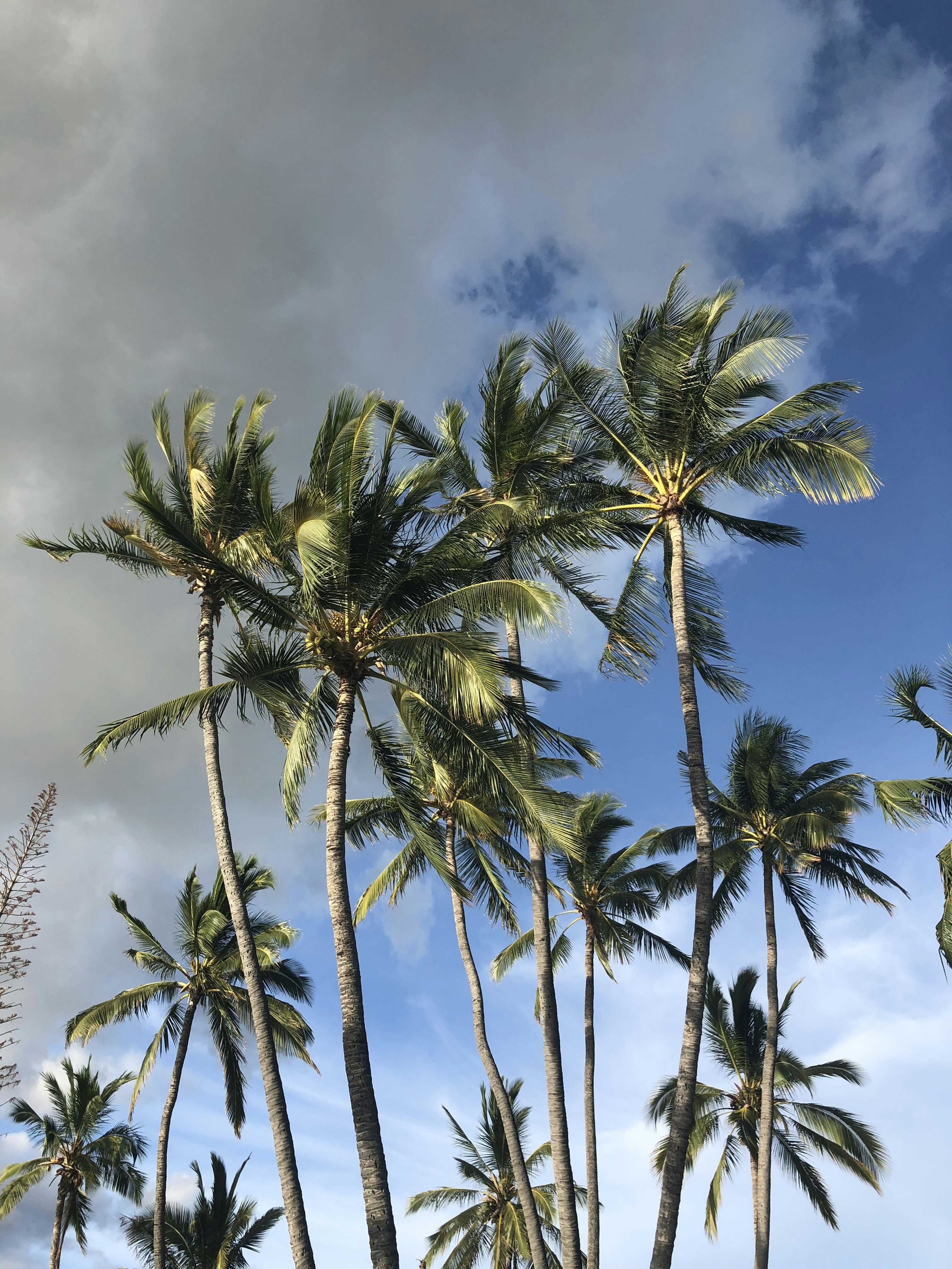 Photo by beesandgreentea