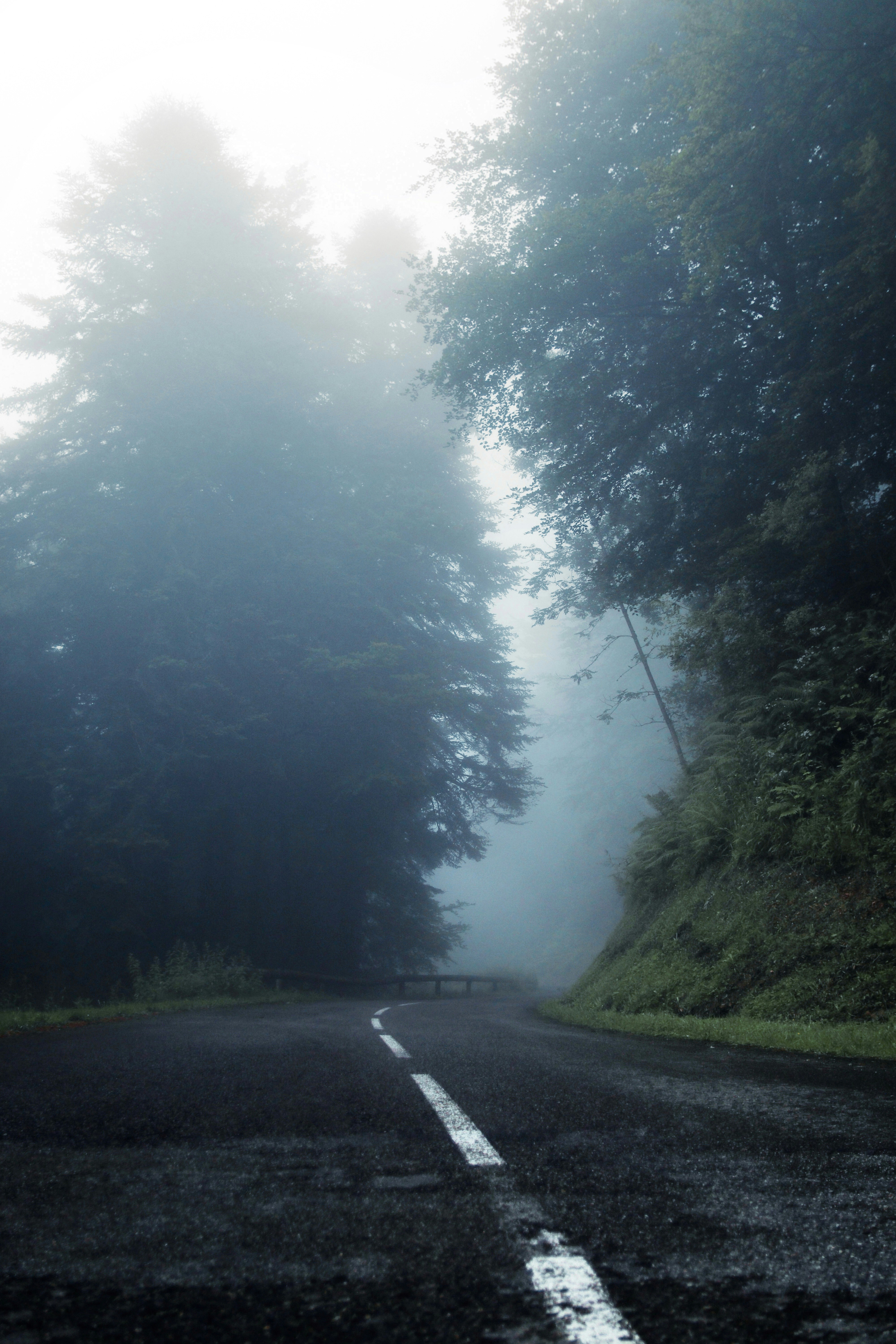 a foggy road with a bench on the side