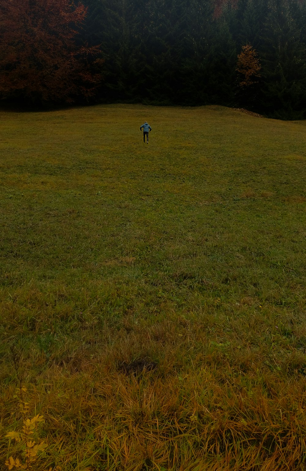 a person standing in a field with a frisbee