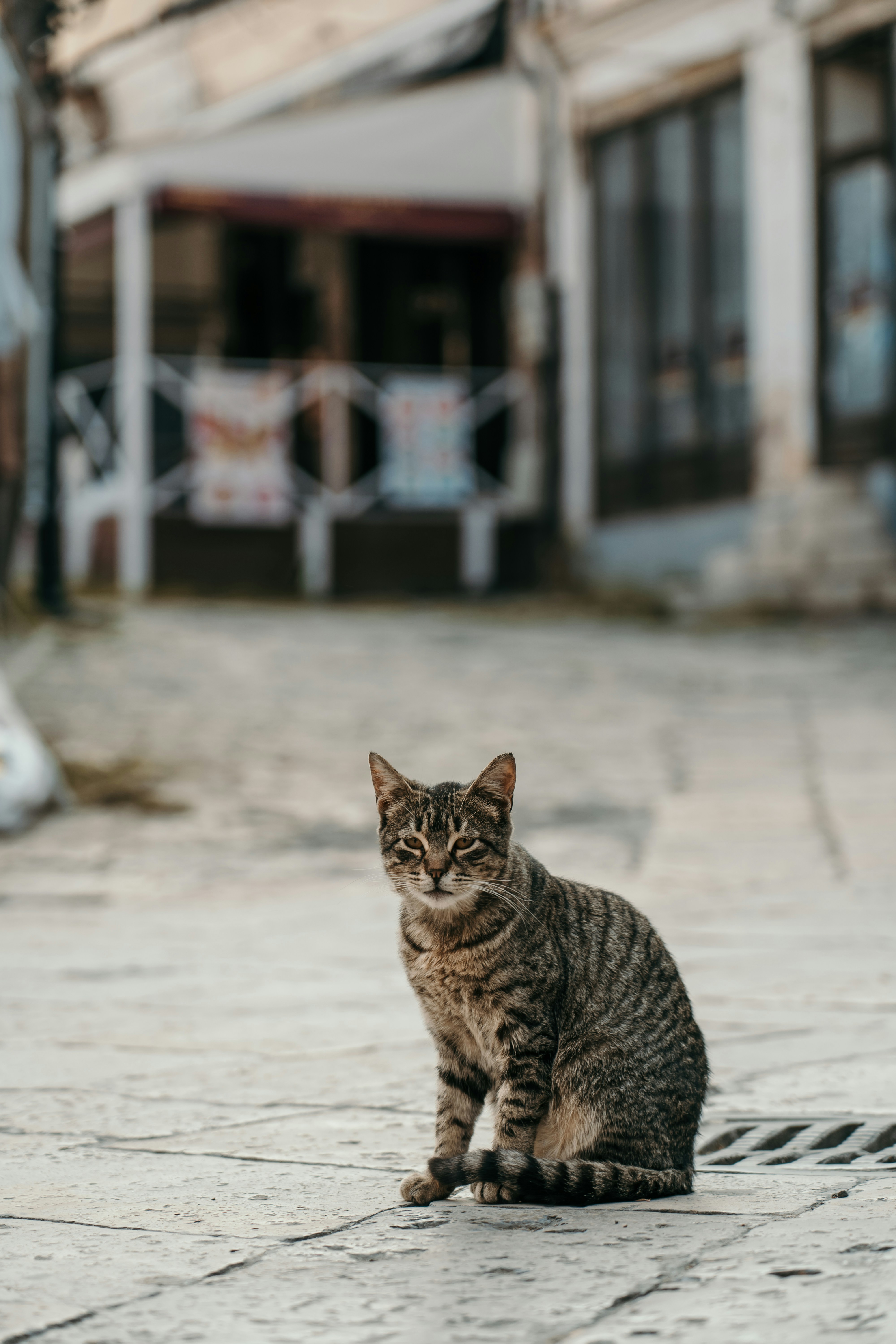 Photo by fisnikmurtezi