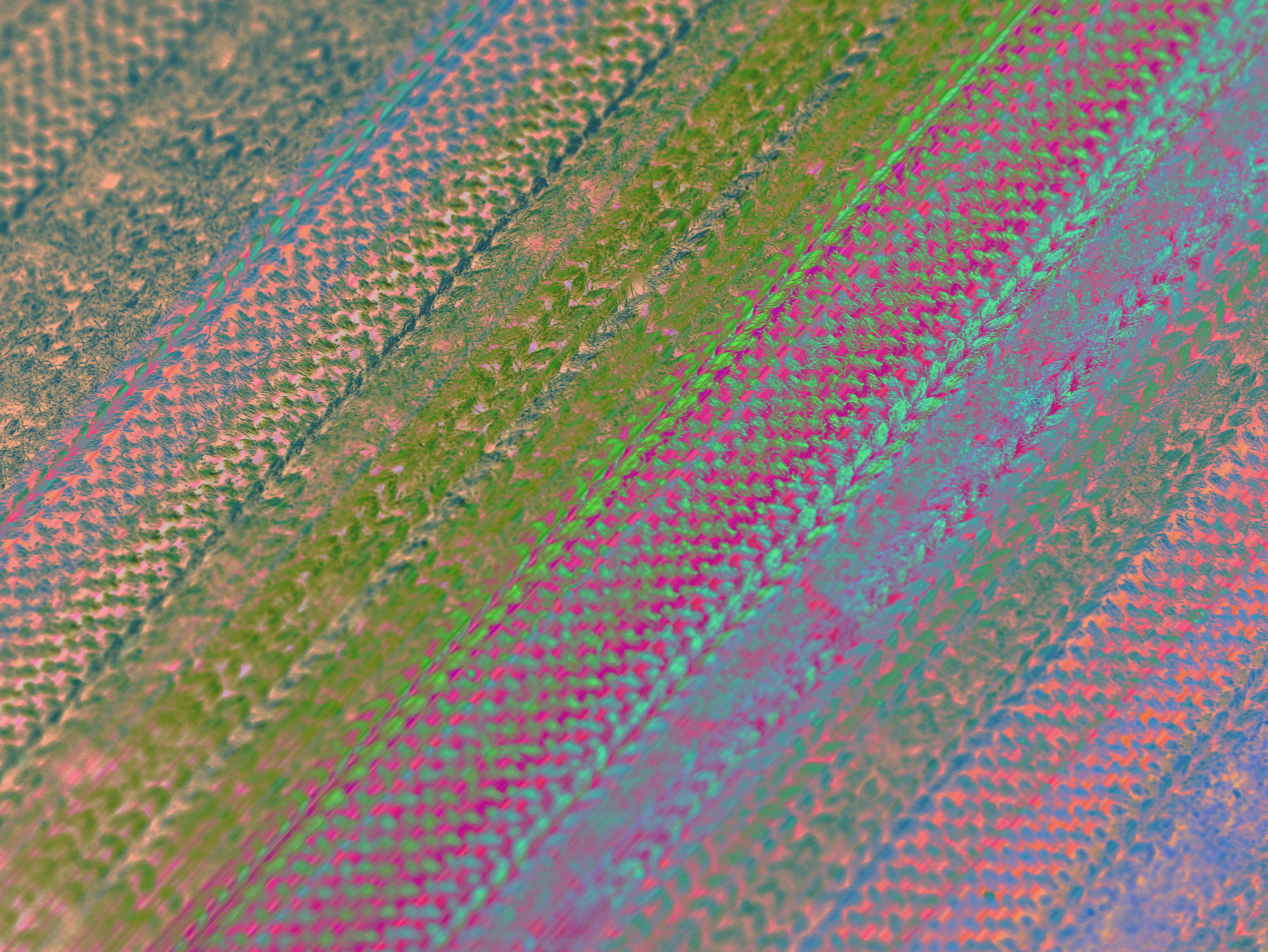 Photo by paoalchapar