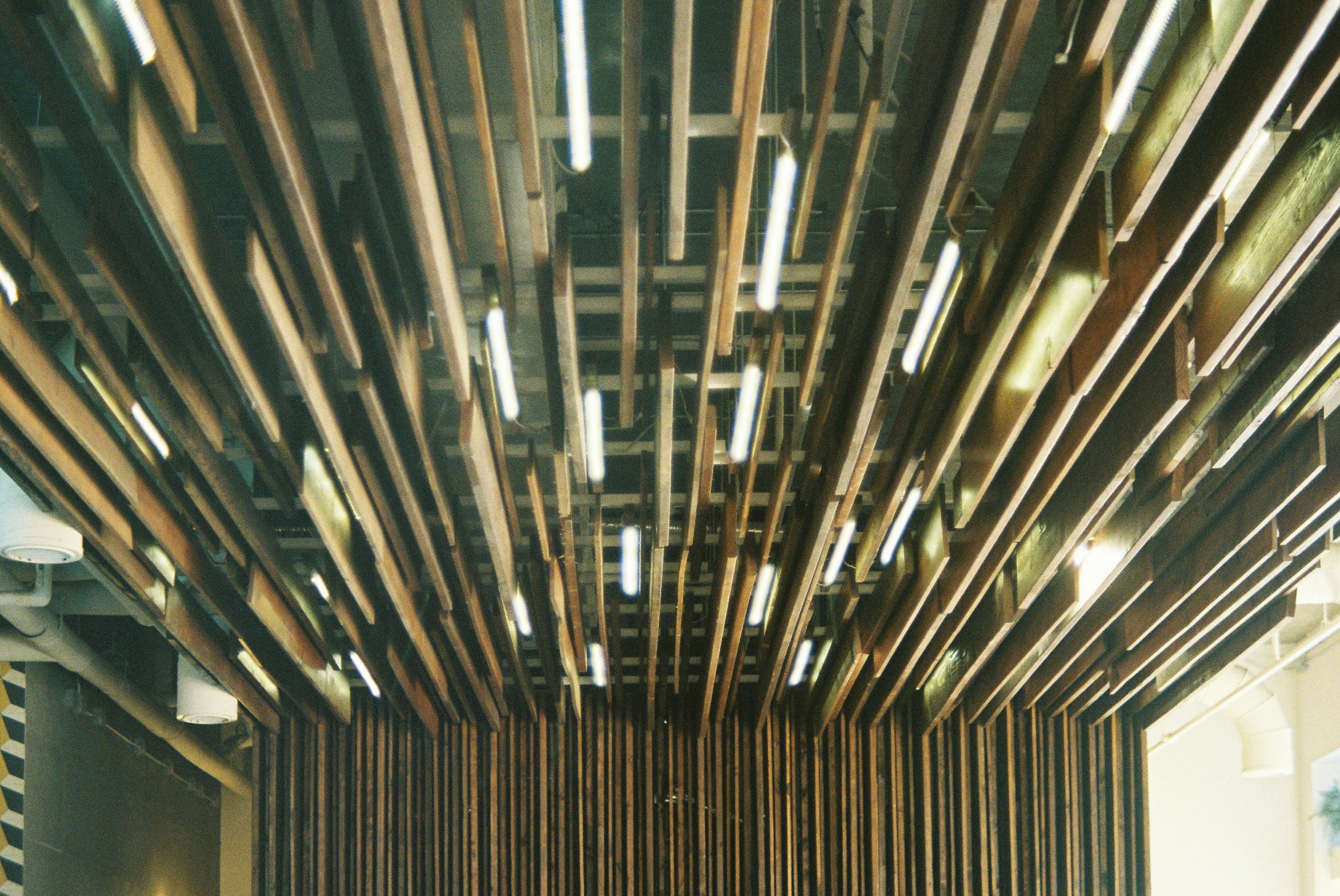 Photo by toranzocaleb